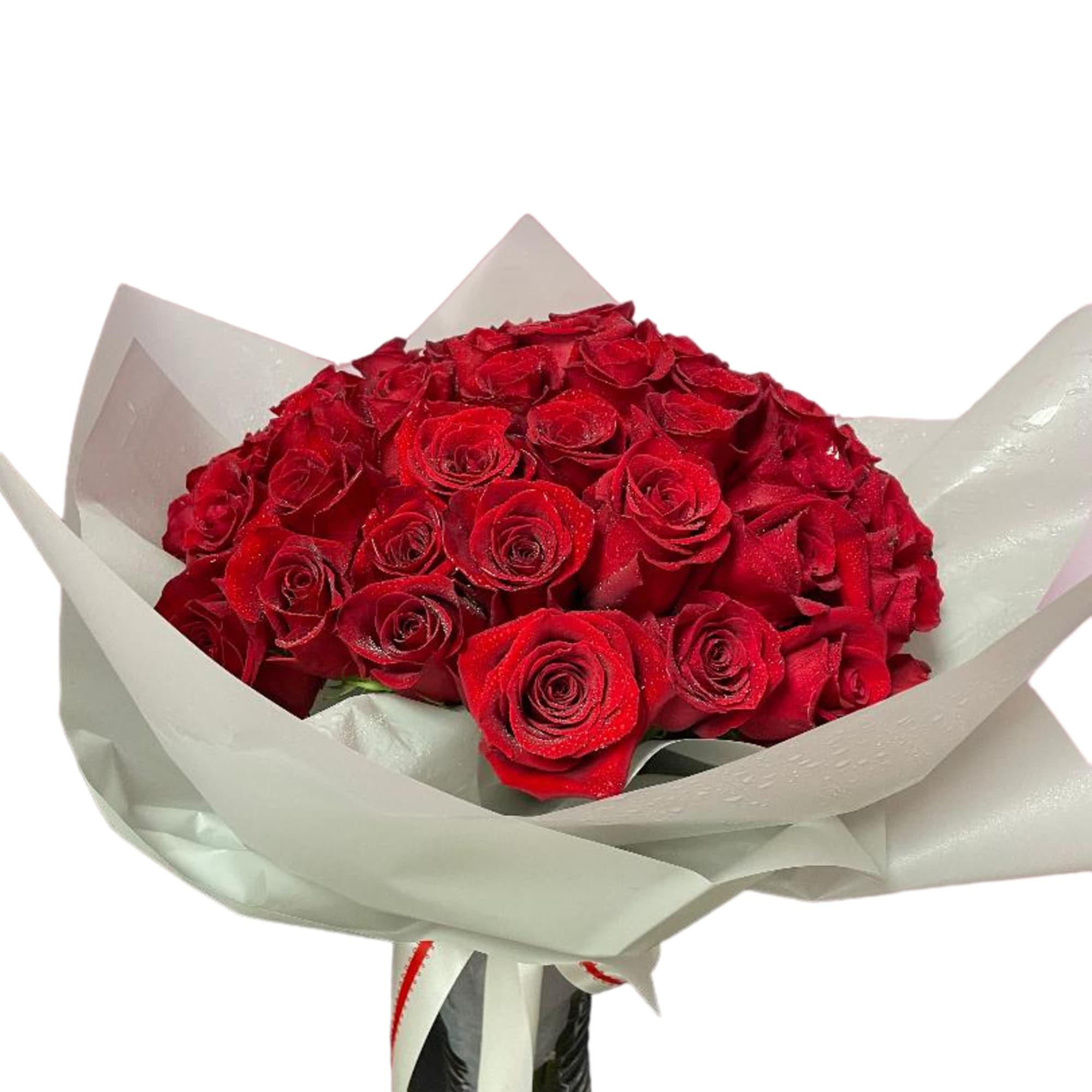 Bouquet of red roses wrapped in white paper