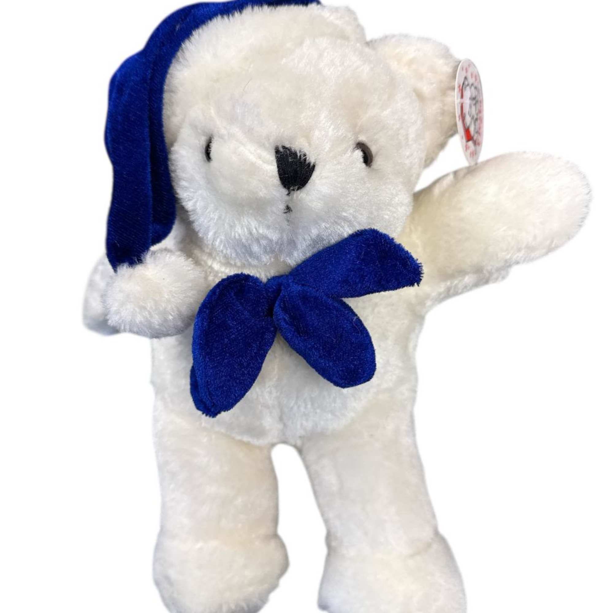 White teddy bear with a blue ribbon and floppy blue hat
