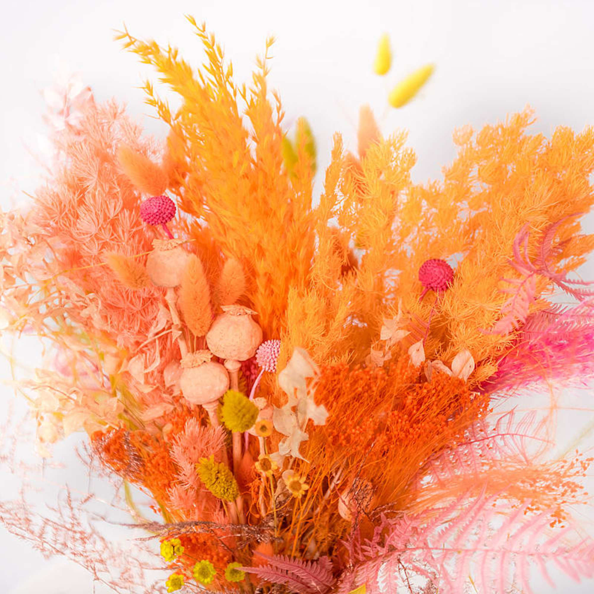 Bright orange and pink dried floral arrangement with feathery textures