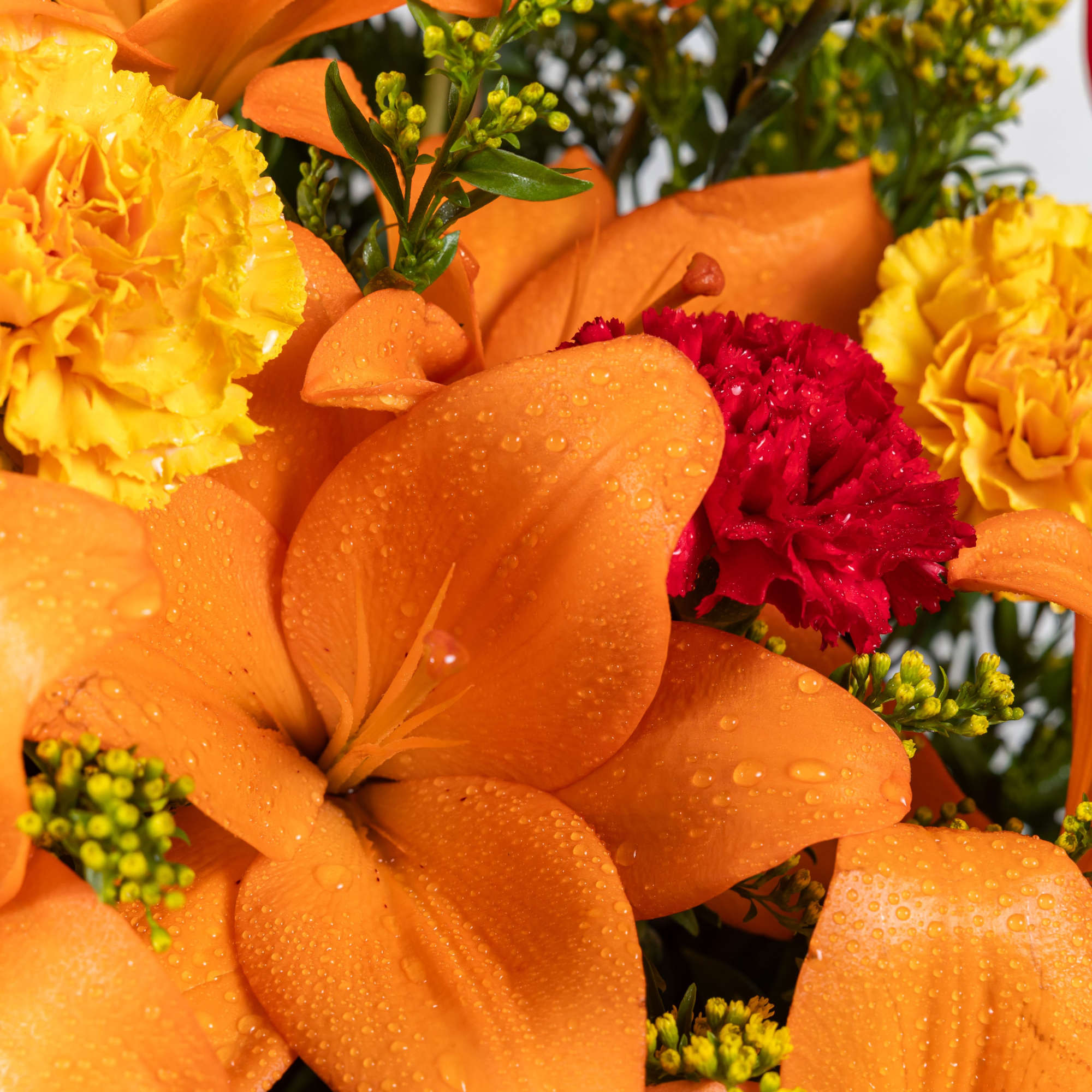 Close-up of bright orange lilies with yellow and red carnations covered in water droplets