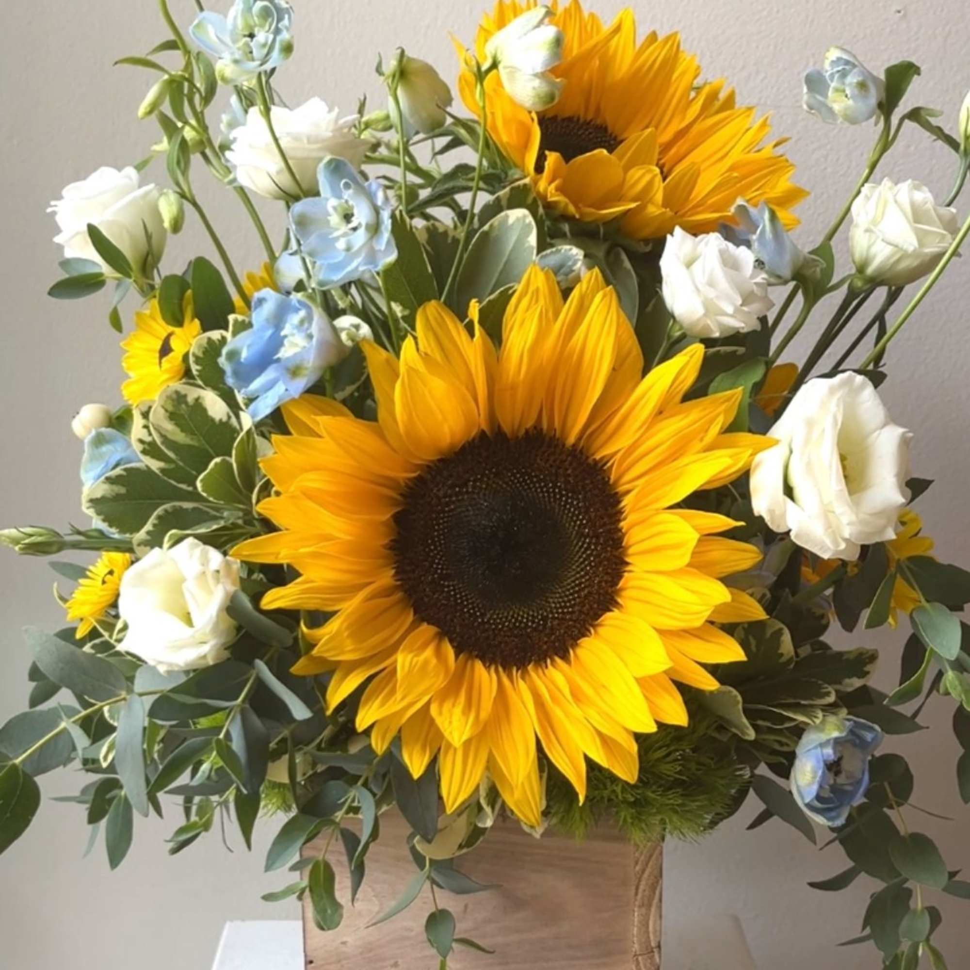 Sunflower arrangement with white and pale blue blooms in a wooden box