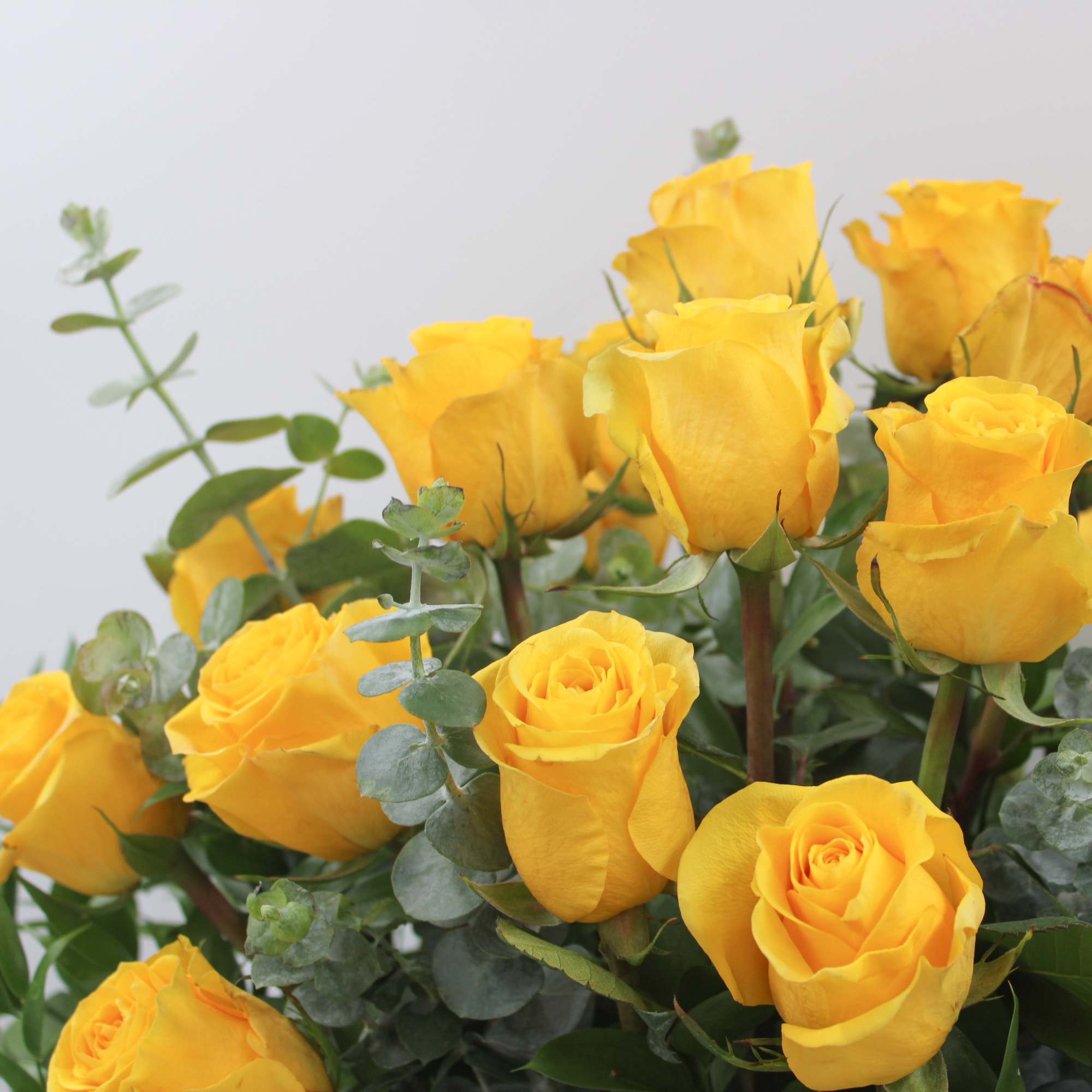 Bouquet of yellow roses with eucalyptus greenery