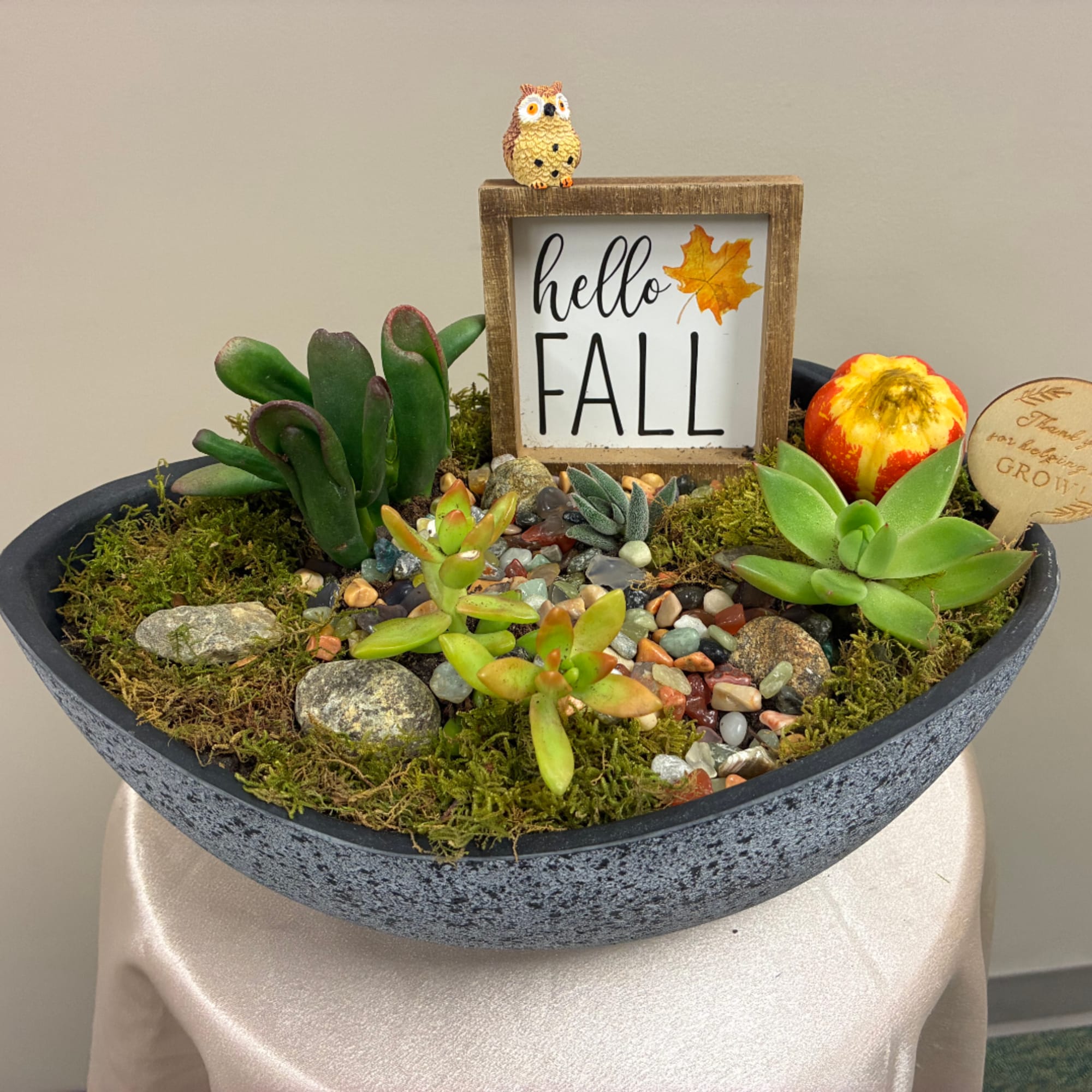 Succulent arrangement in a shallow bowl with a "hello FALL" sign