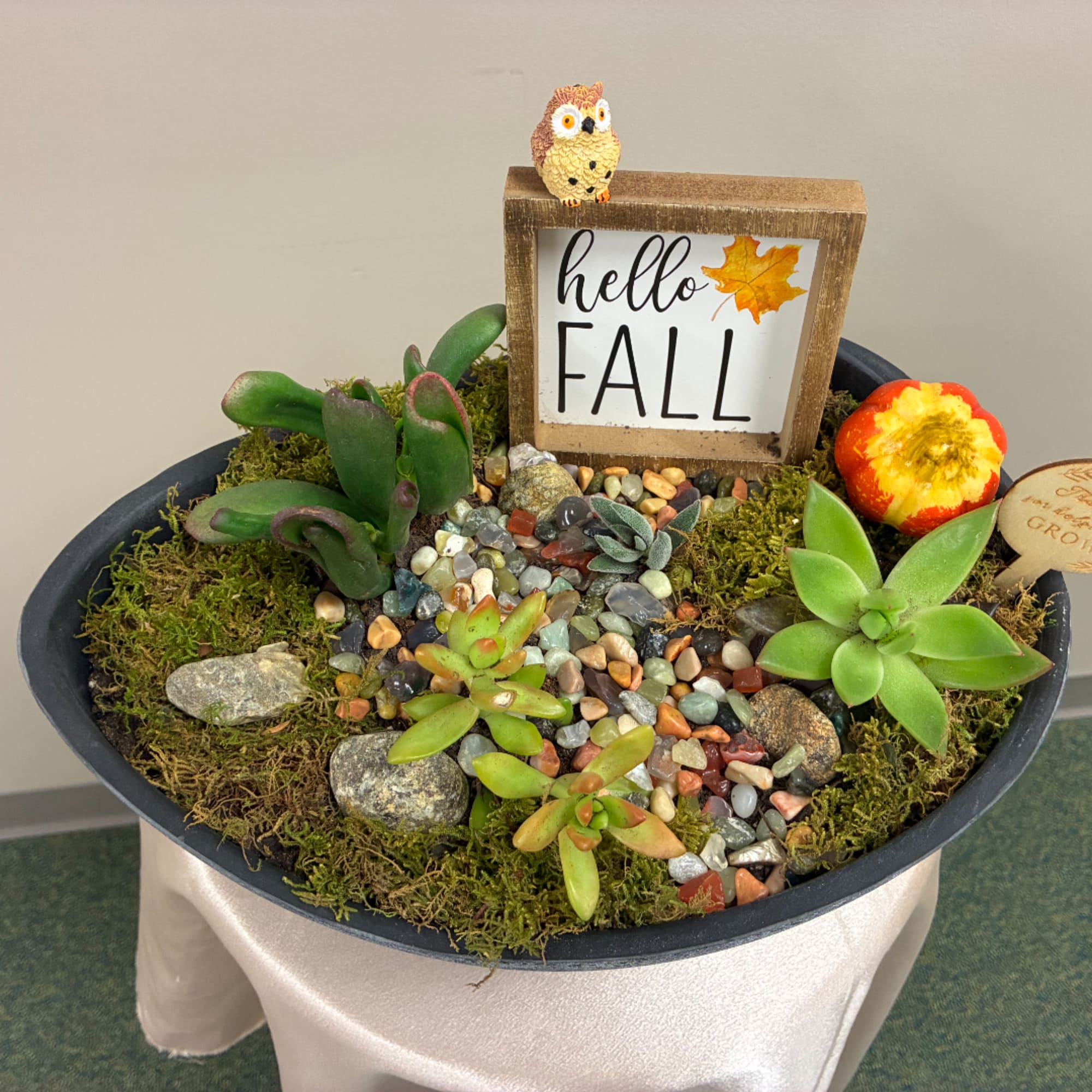 Succulent arrangement in a shallow black bowl with a "hello FALL" sign