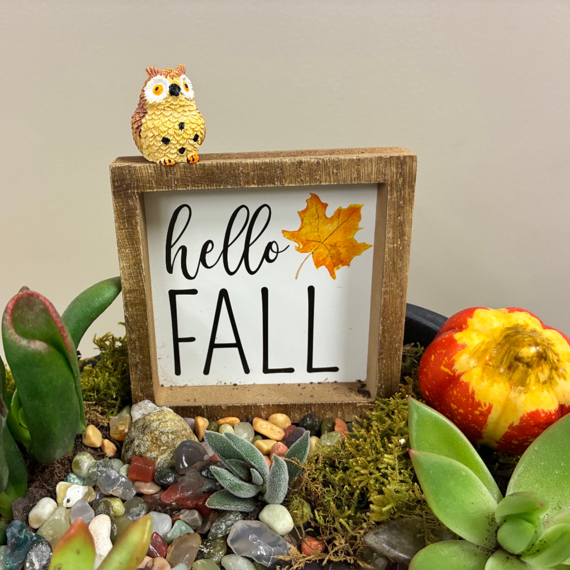 Fall-themed succulent planter with a wooden "hello FALL" sign and owl figurine