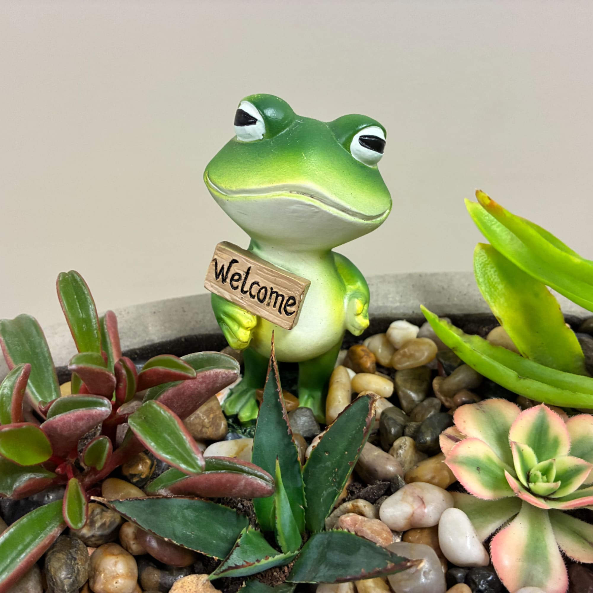 Potted succulent arrangement with a frog figurine holding a welcome sign