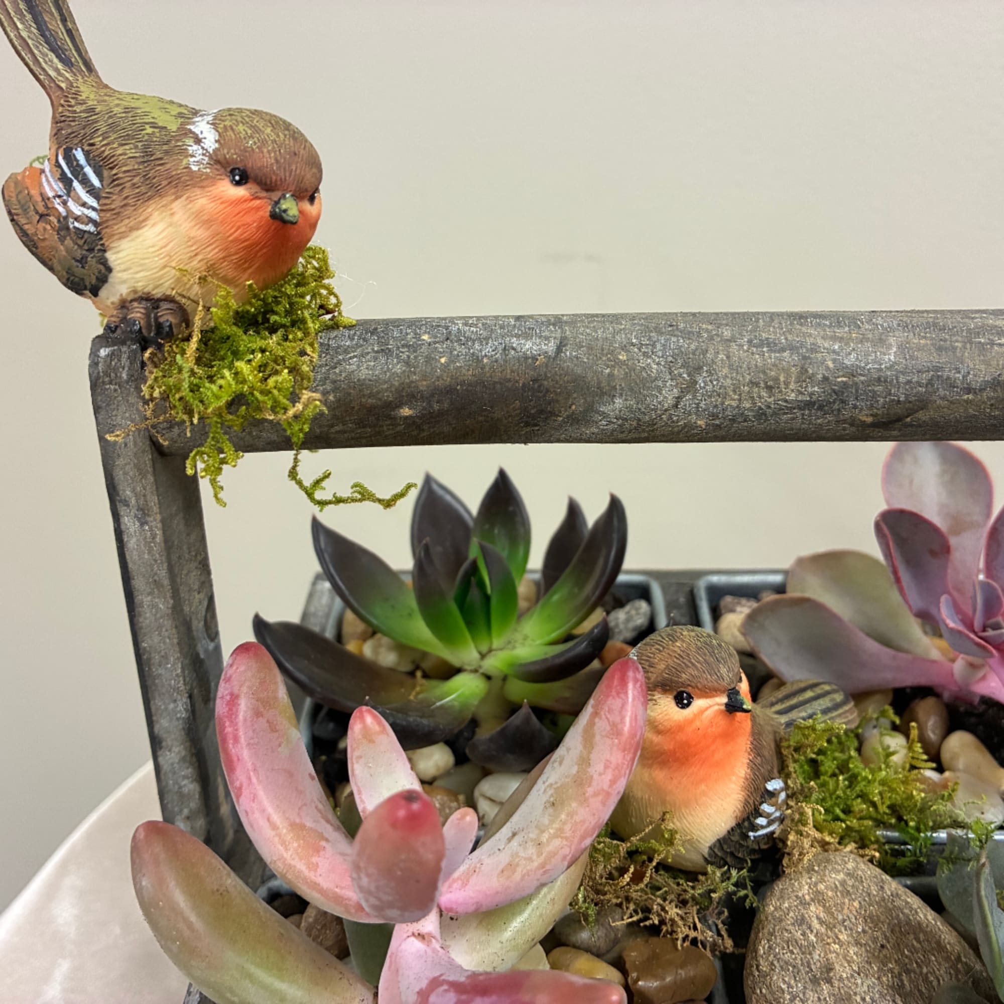 Succulent arrangement in a rustic frame with two bird figurines