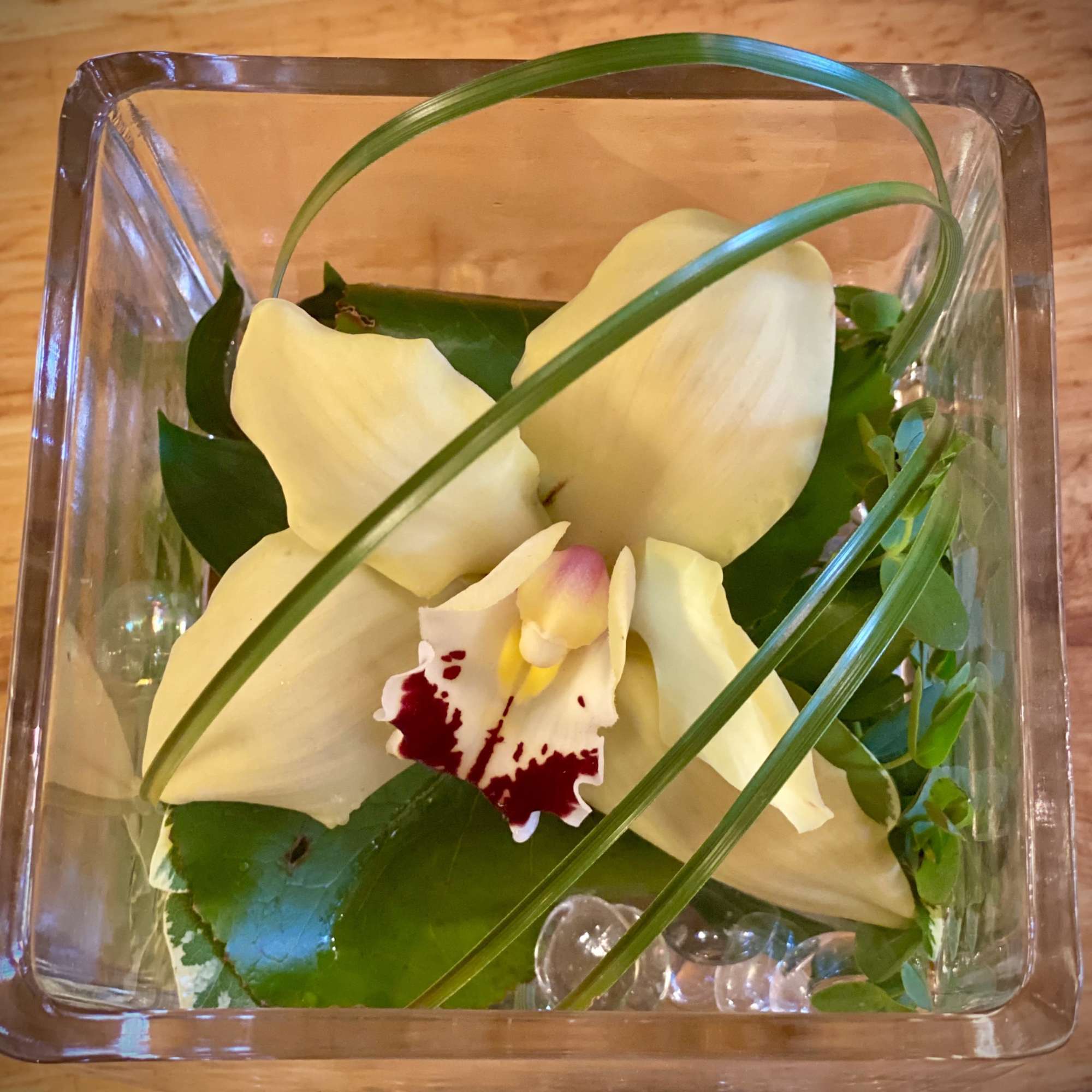White orchid blooms arranged in a square glass container