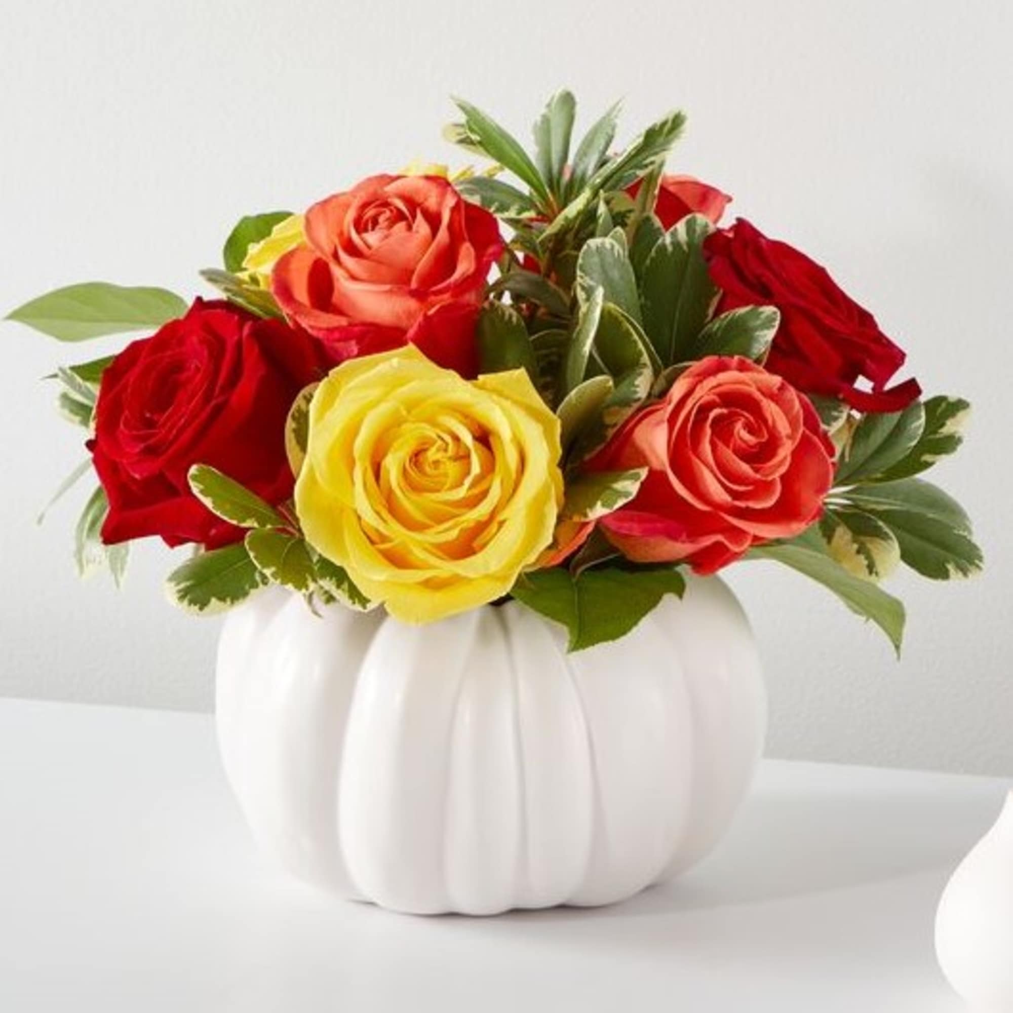 Bouquet of red, coral, and yellow roses in a white pumpkin vase