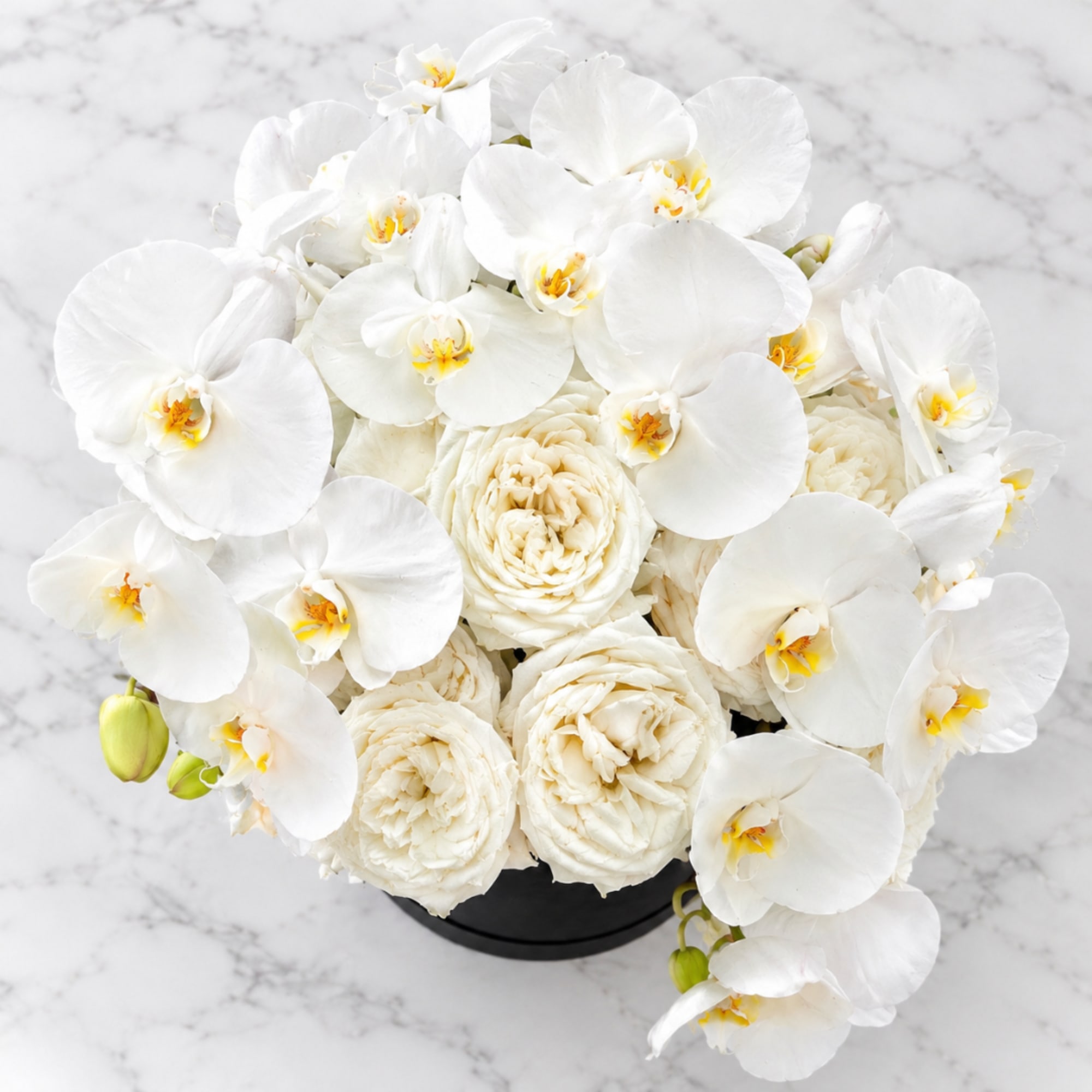 White orchids and cream roses arranged in a black round container
