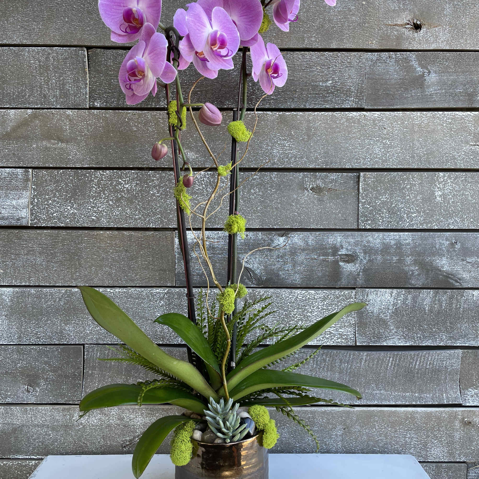 Pink orchid arrangement in a metallic pot with succulents