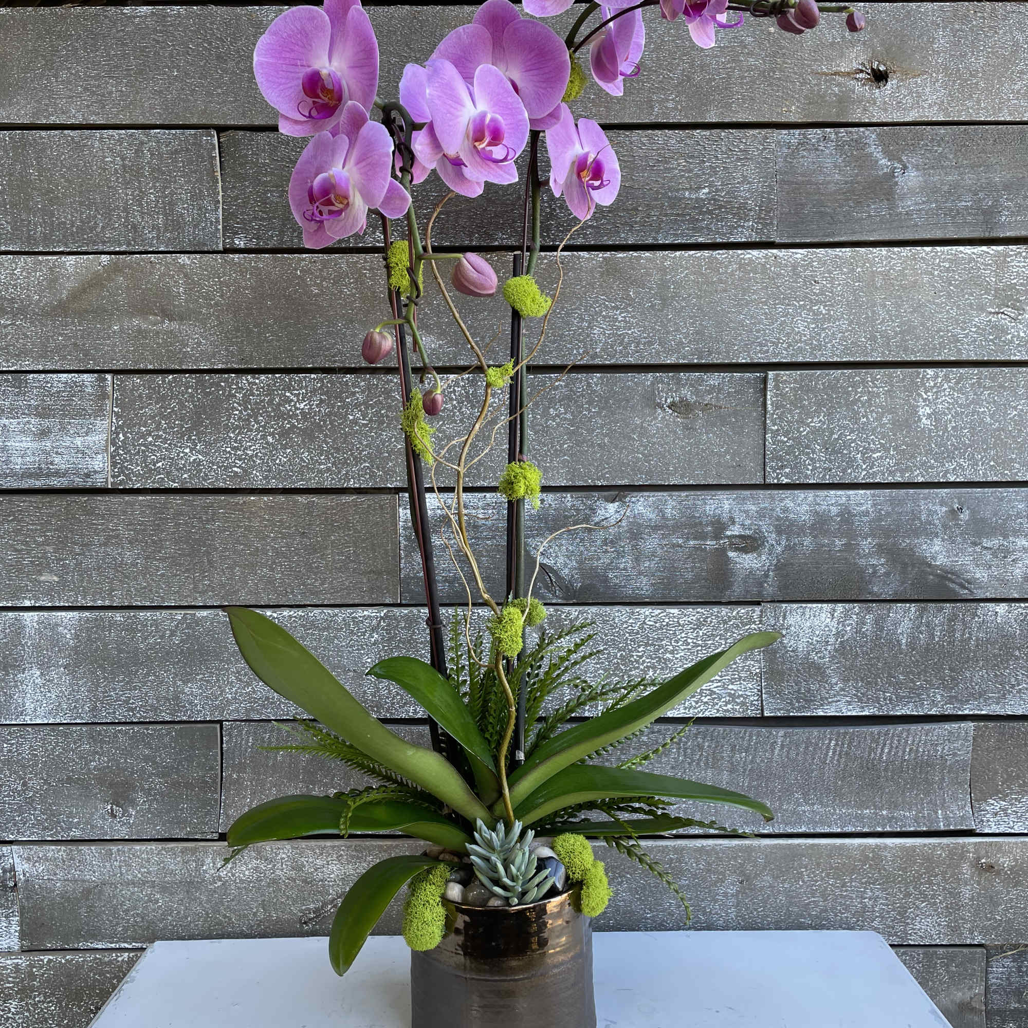 Pink orchid arrangement in a dark pot with succulents