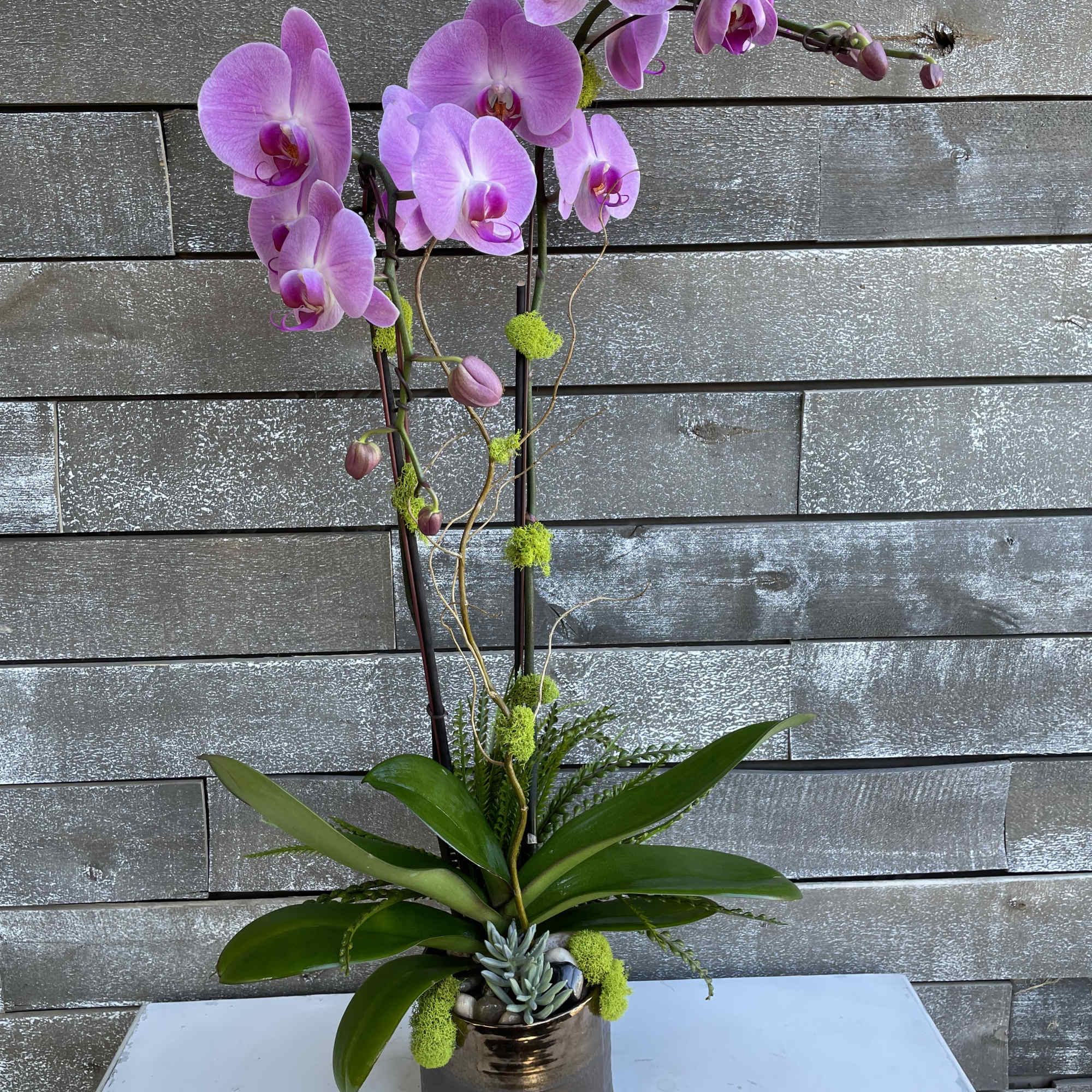 Pink orchid arrangement in a metallic pot with succulents, photo 3 of 3