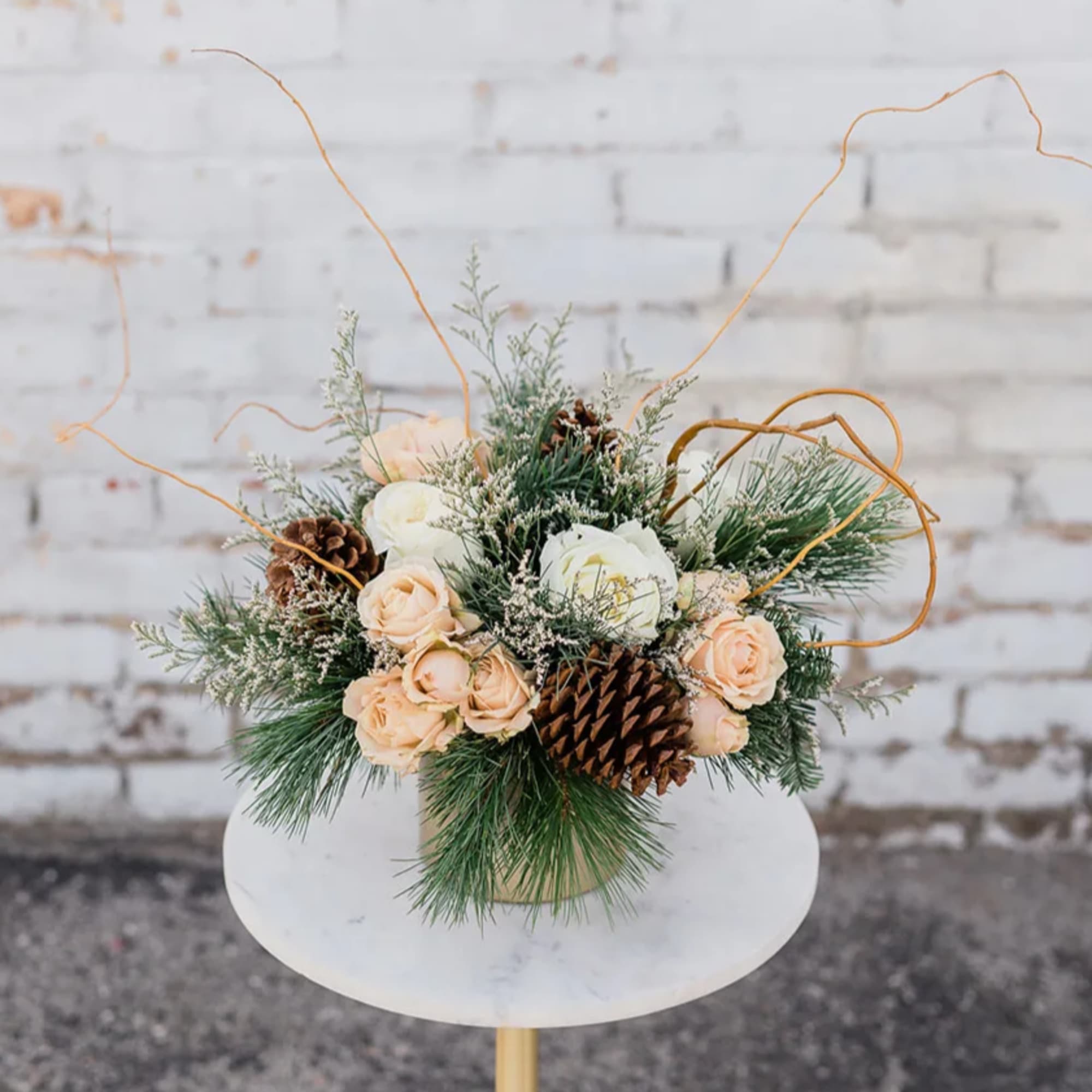 Cozy on up and Drink in the Holiday Spirit with our new