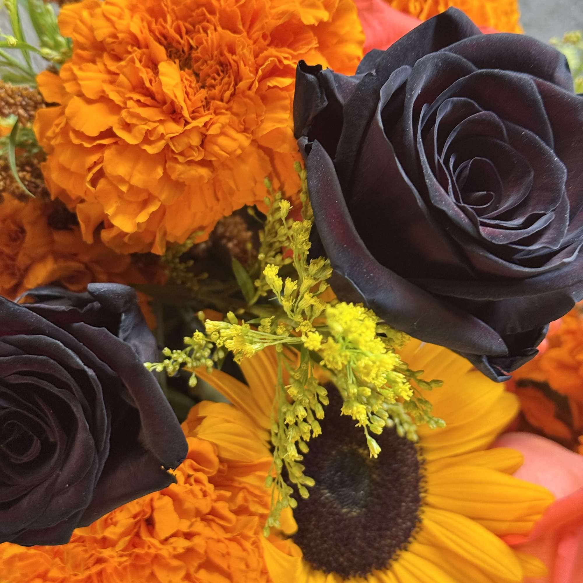 This stunning holiday arrangement is made up of holiday black roses, whites, photo 2 of 3