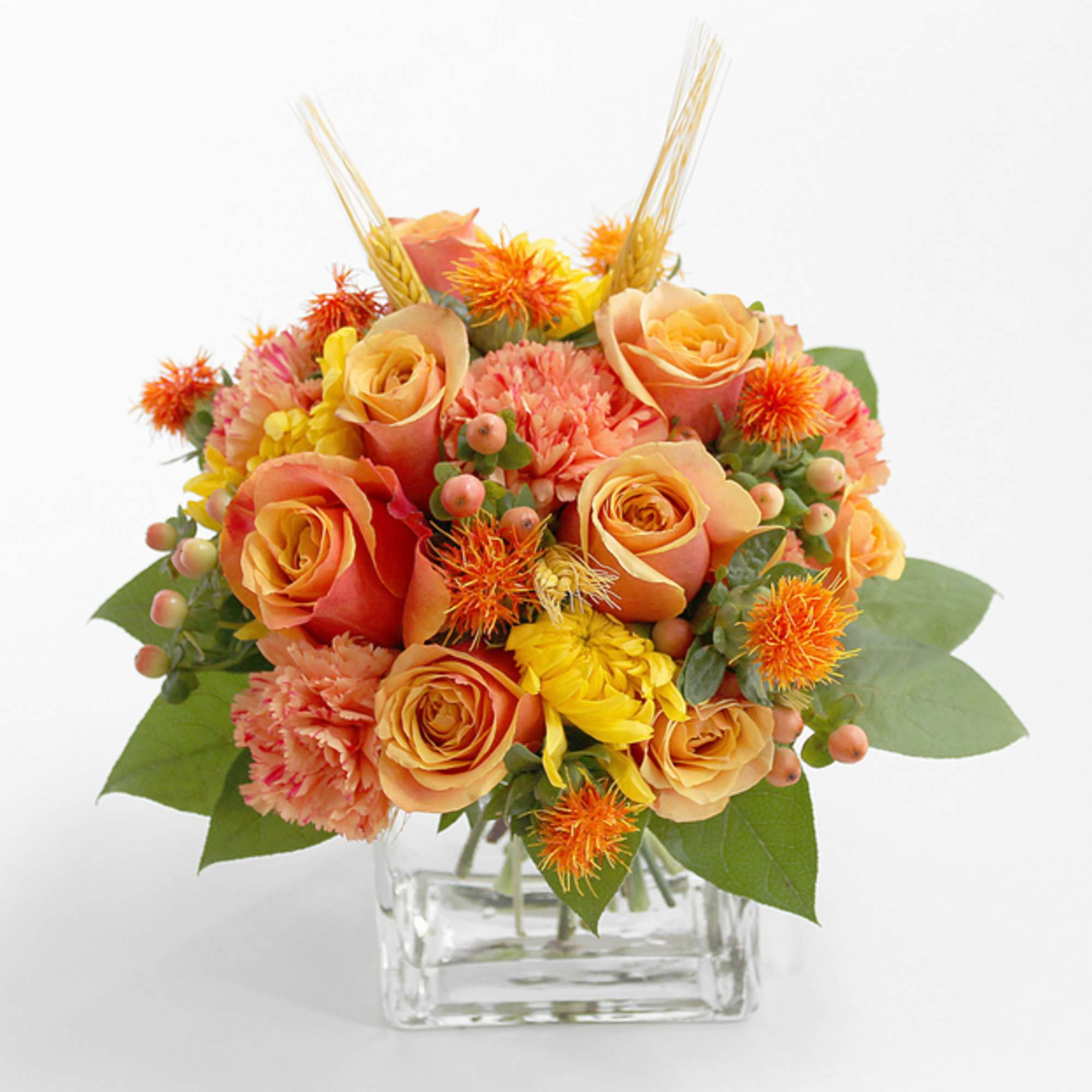 What would autumn be without the chrysanthemum.  This traditional flower of, photo 3 of 3