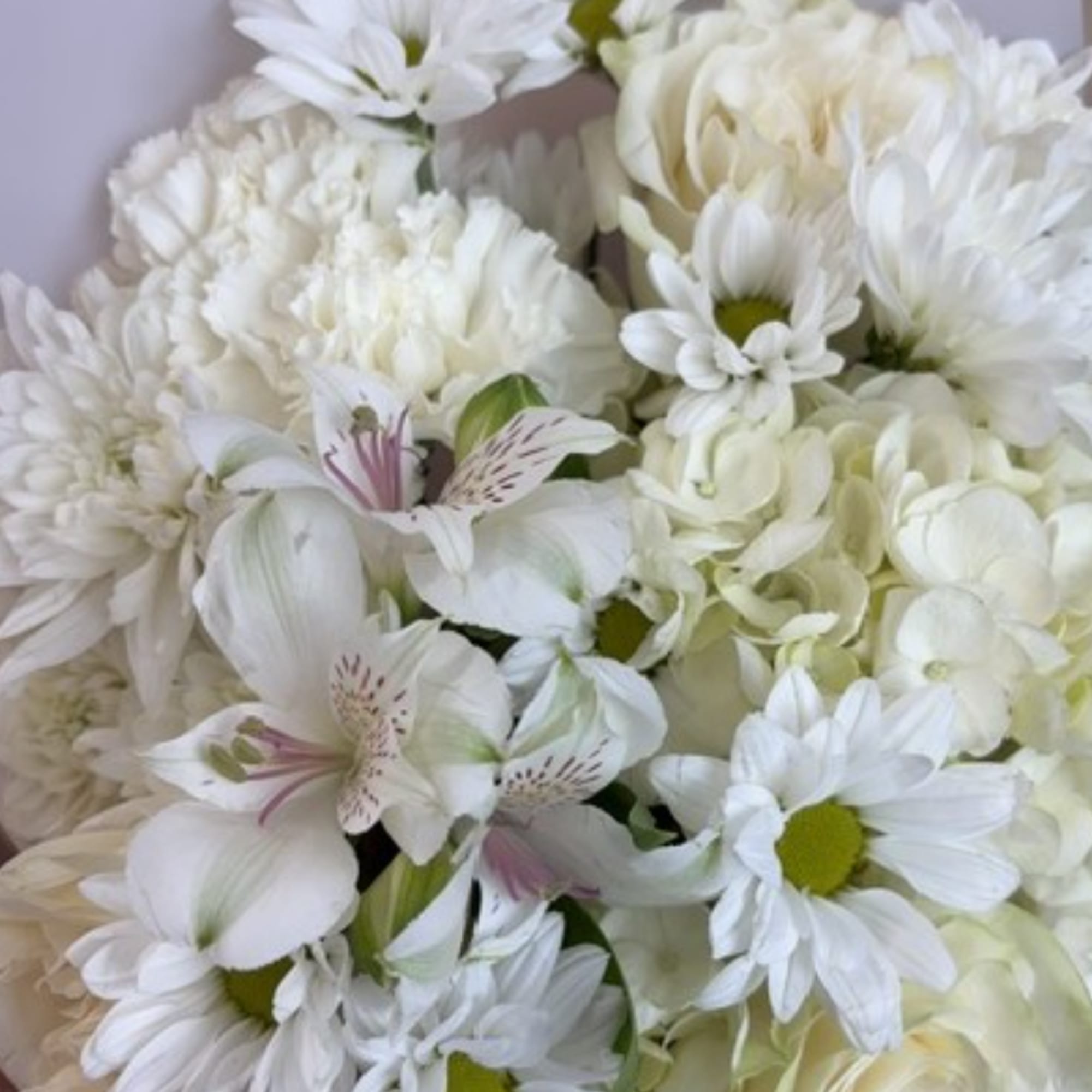 White bouquet with daisies, hydrangeas, and alstroemeria