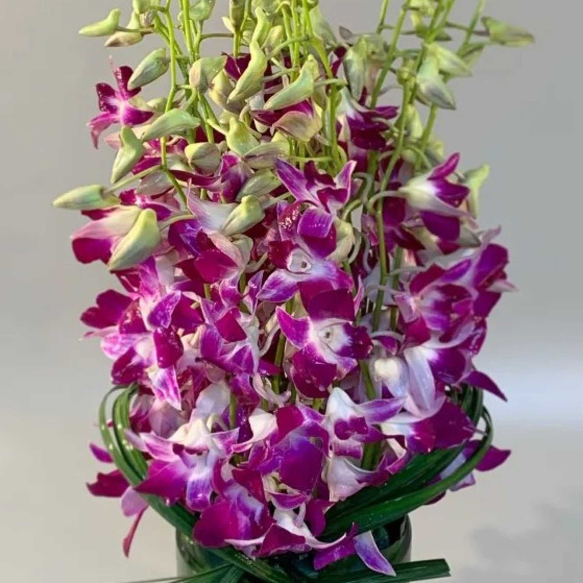 Purple orchids in a green glass vase with tall buds