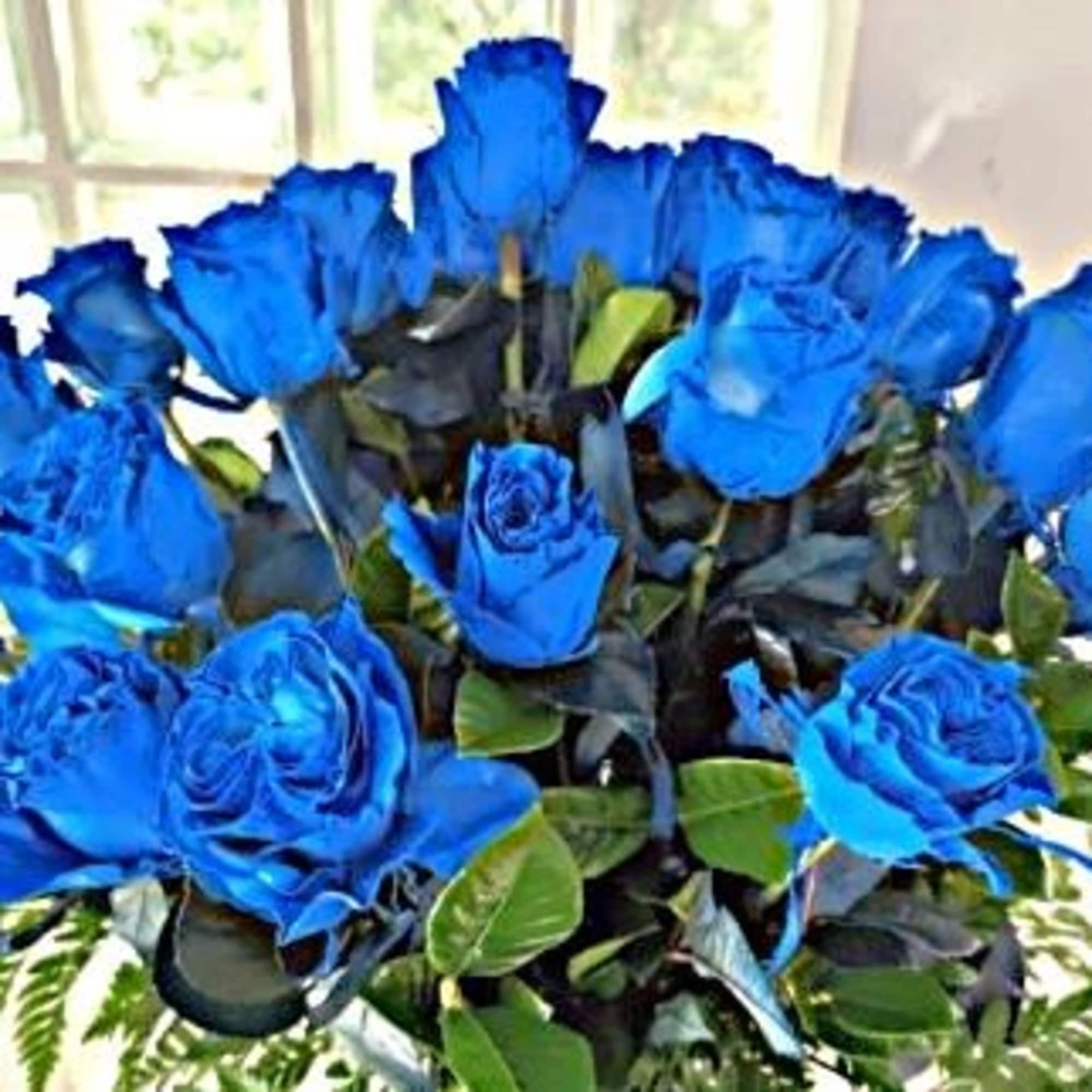 Bouquet of vivid blue roses with green foliage