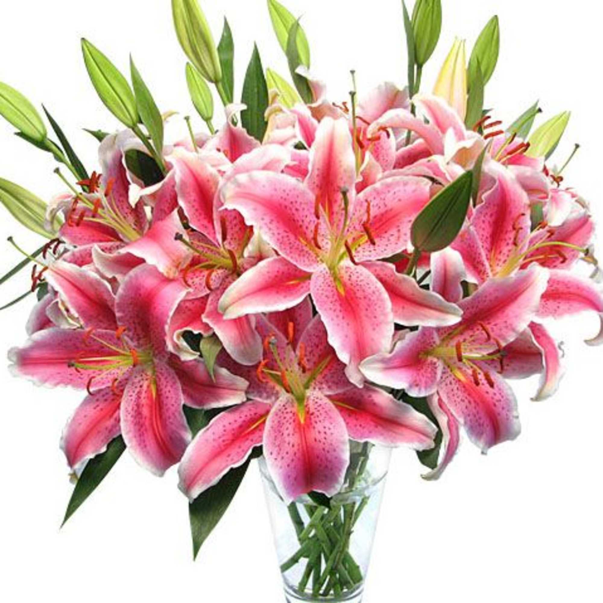 Send this sweet bouquet as an expression of your sympathy. Fragrant pink