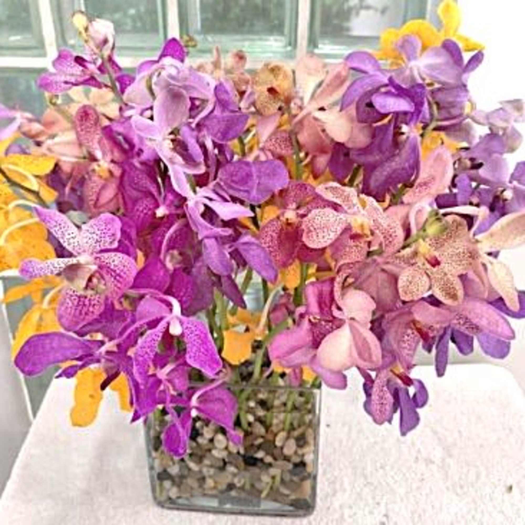 The Perfect Harmony Bouquet is a bright burst of incredible color and