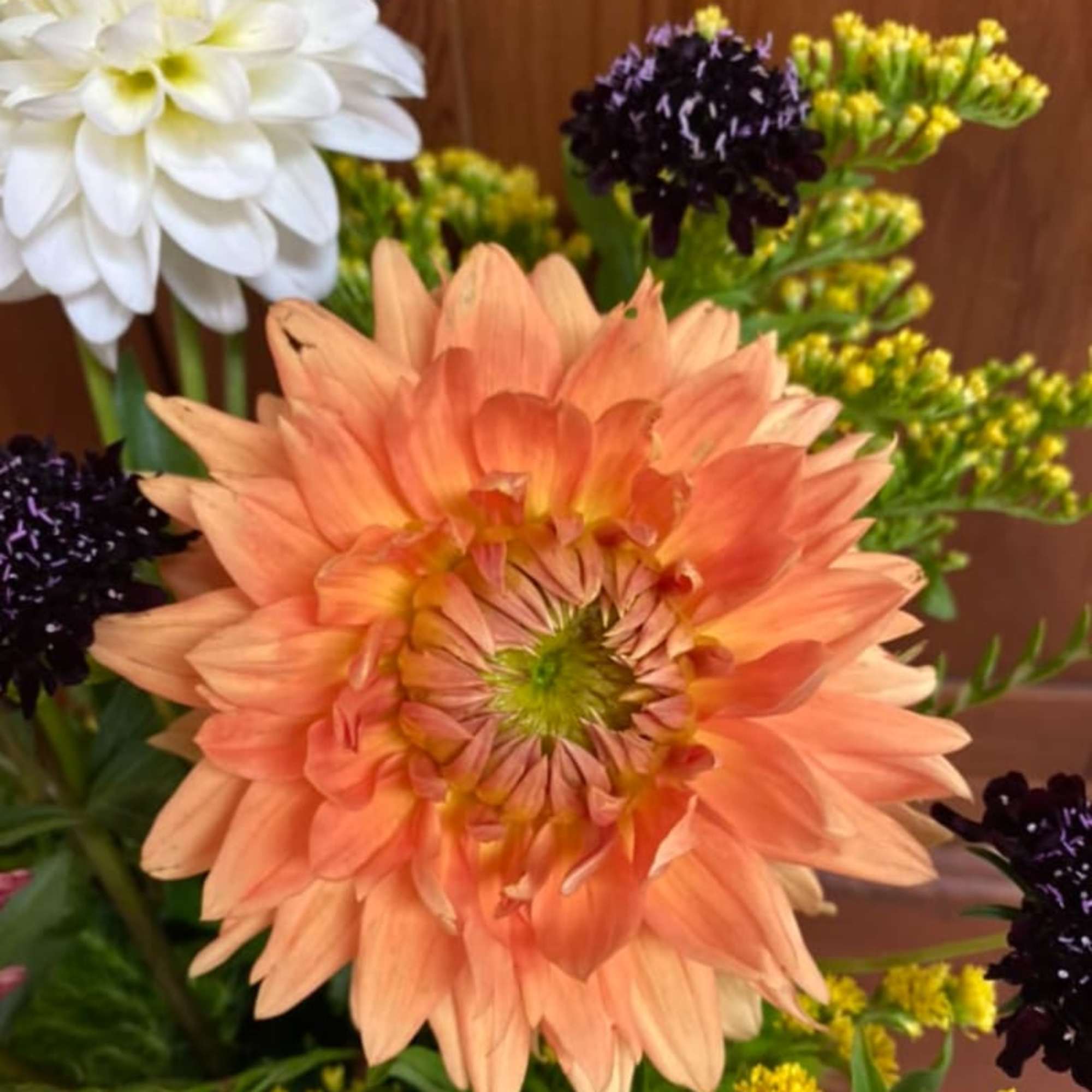 Peach and white dahlia bouquet with dark purple accents
