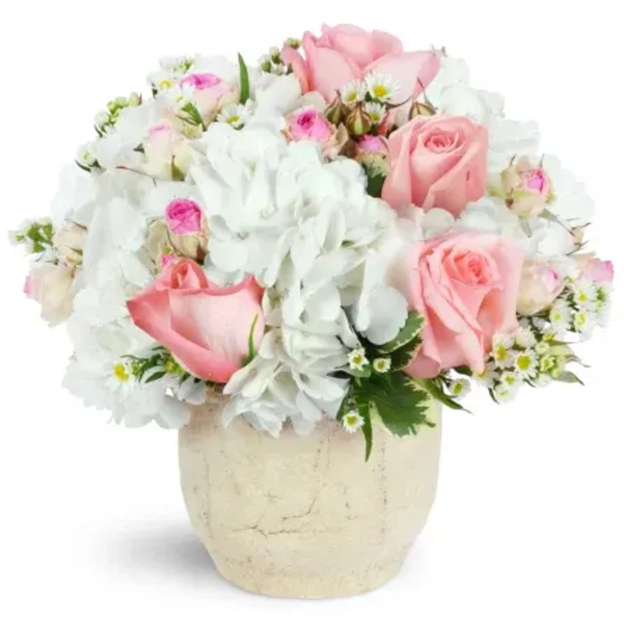 Pink roses and white flowers arranged in a cream vase