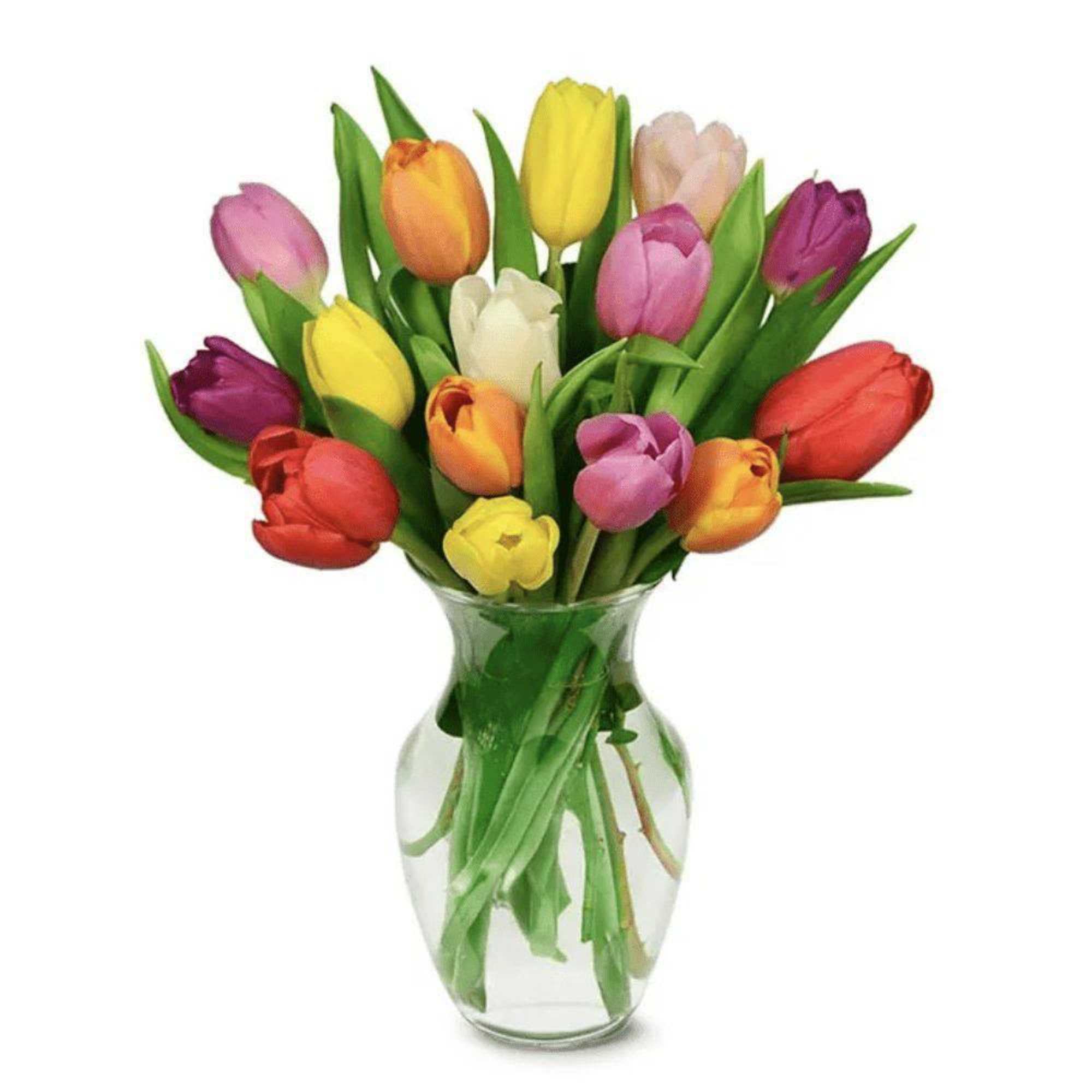 Colorful tulips arranged in a clear glass vase, photo 2 of 2