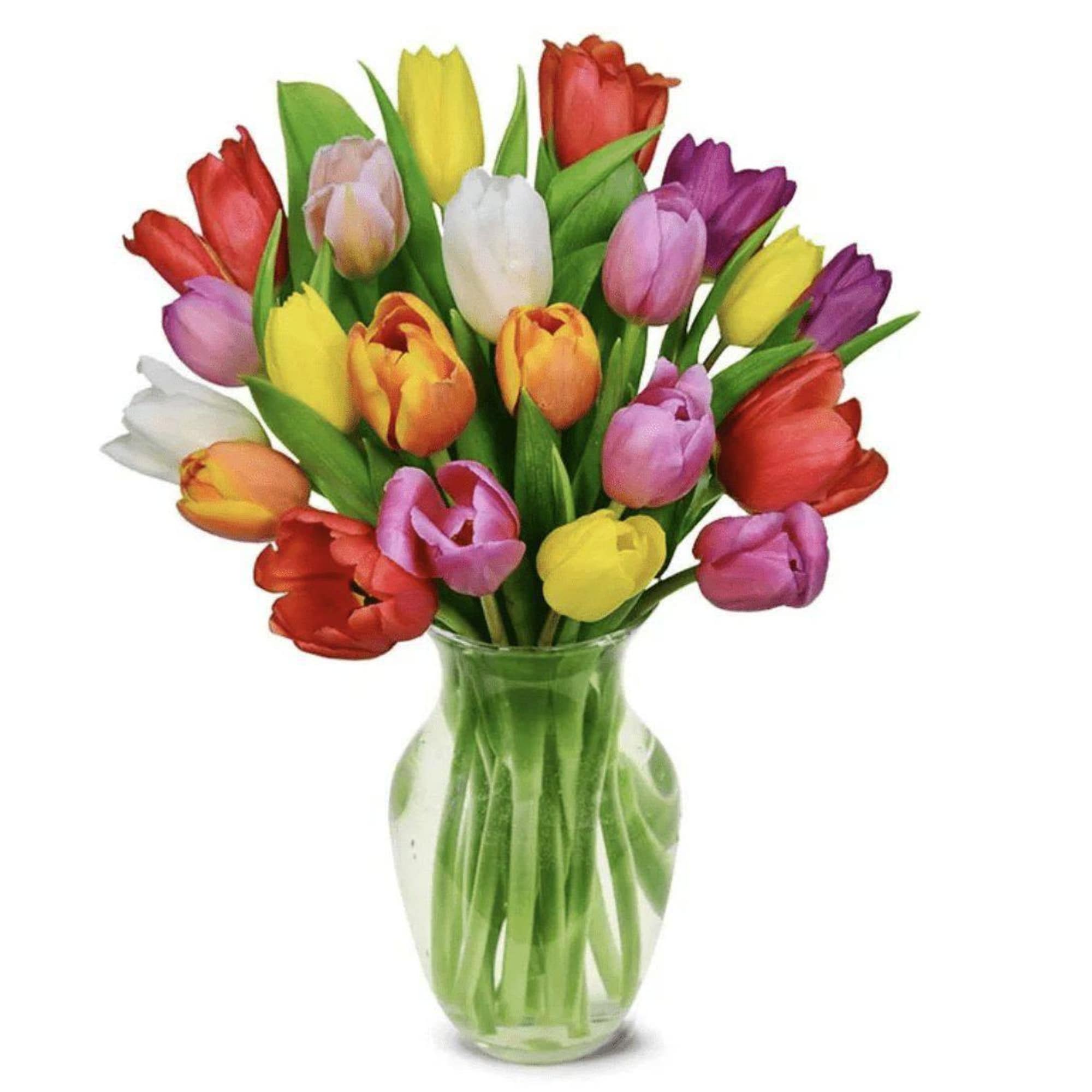 Colorful tulip bouquet in a clear glass vase