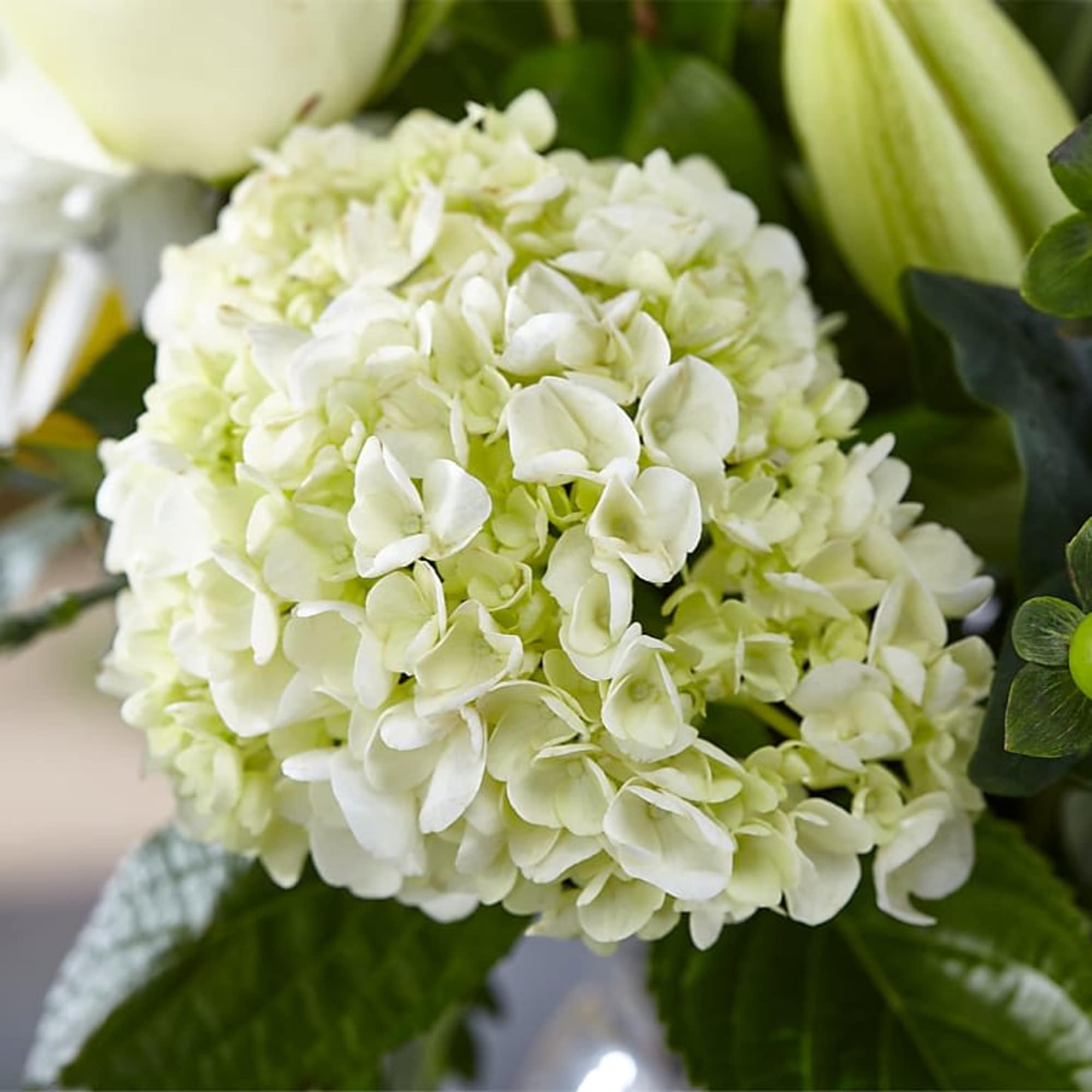 White hydrangea bloom in a floral arrangement