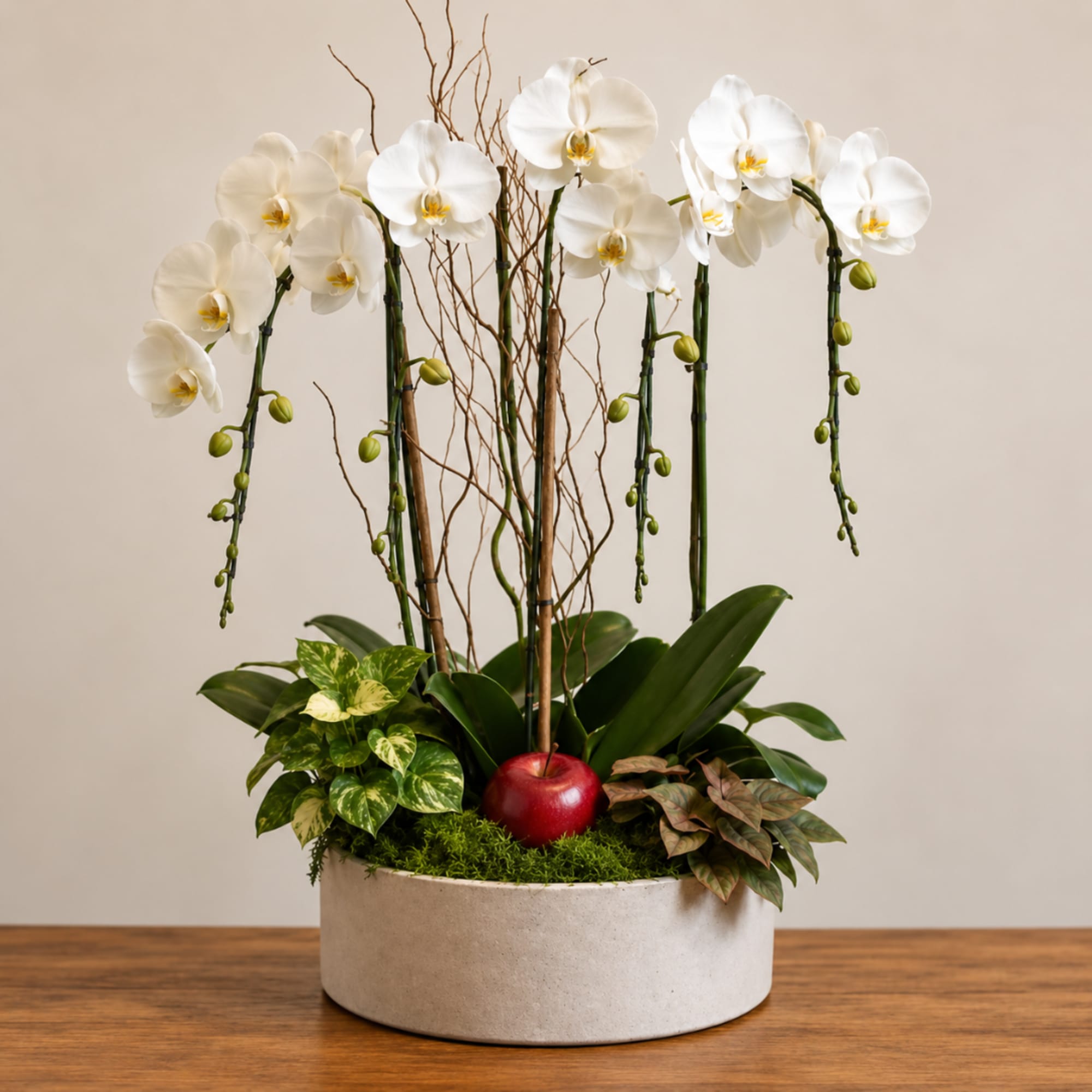 White orchids in a round planter with mixed foliage and a red apple