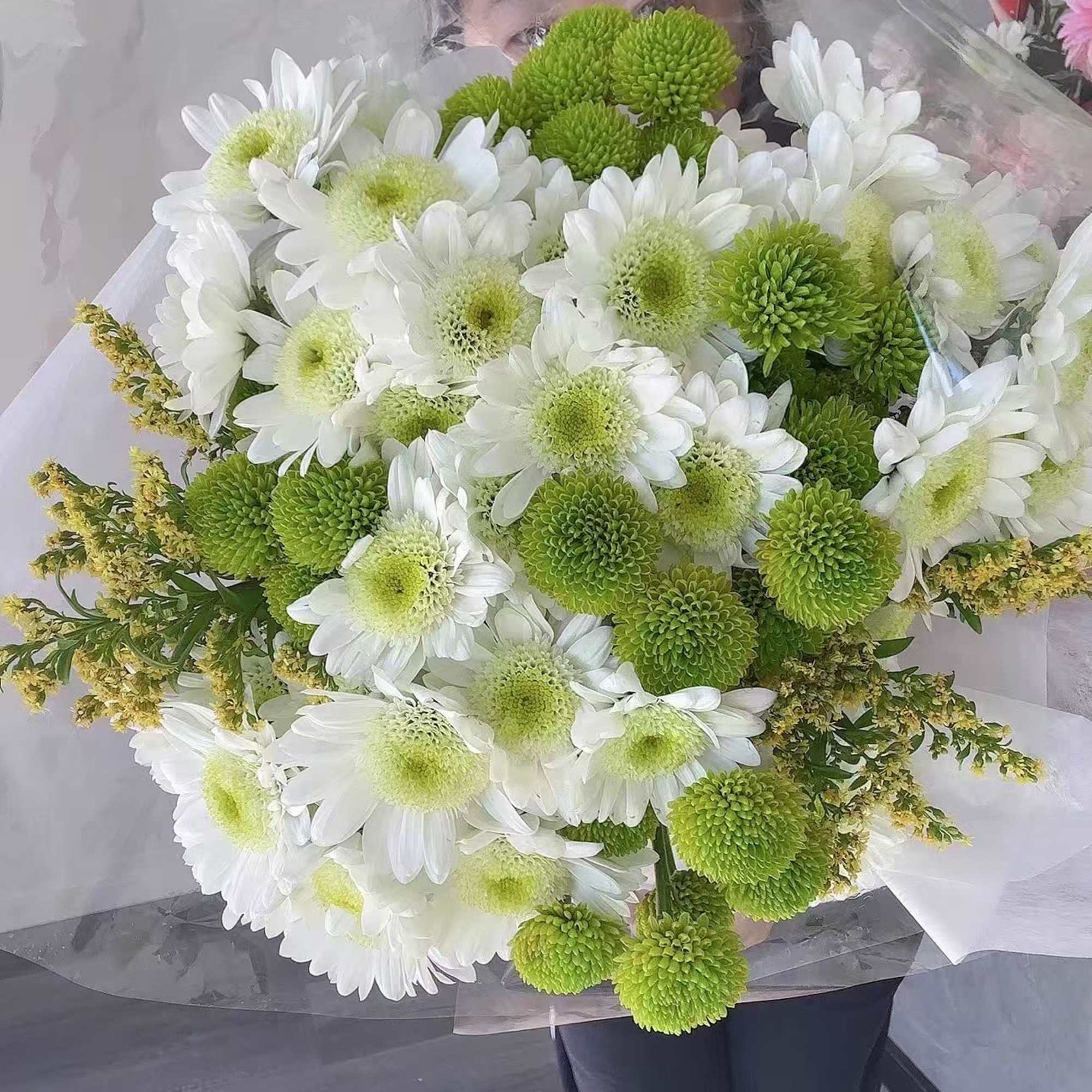Bouquet of white daisies and green pompon chrysanthemums wrapped in clear paper