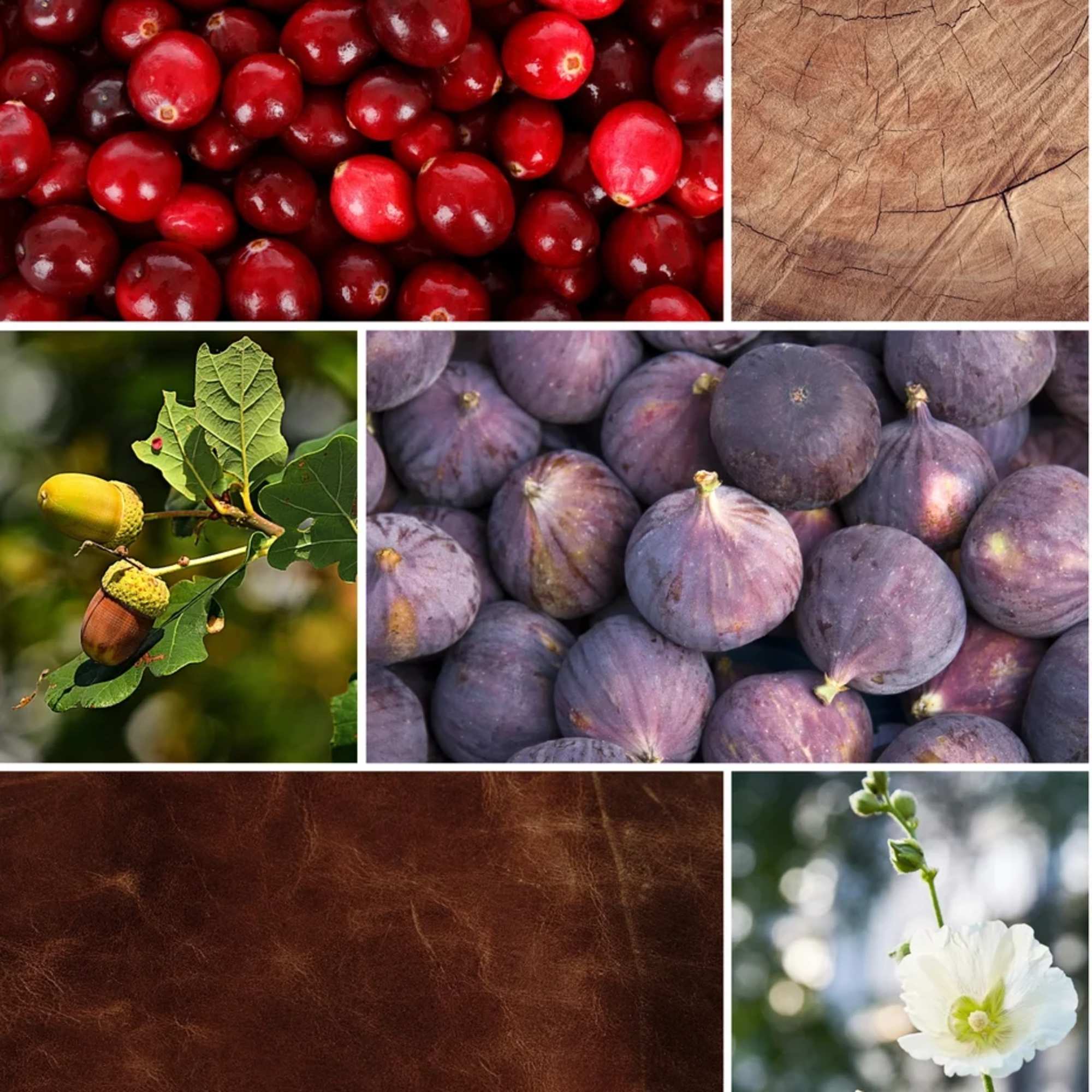 Fig &amp; Oak scent description: Fresh figs, cranberry, leather &amp; musk.

&bull; 18, photo 2 of 2