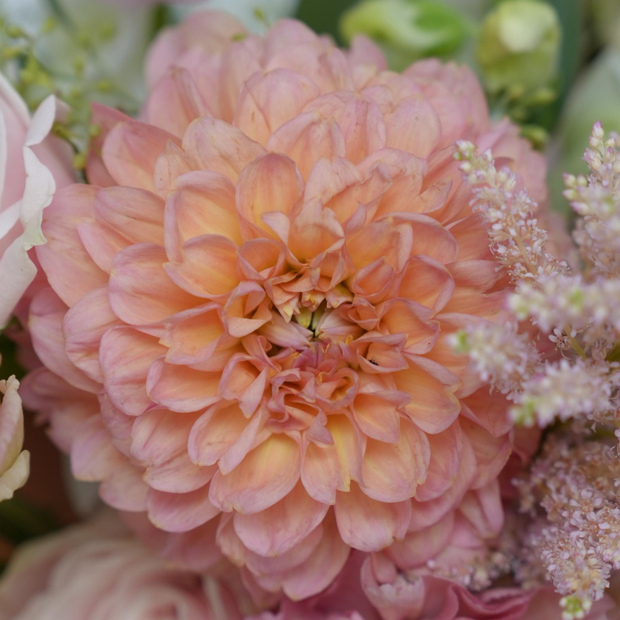 Close-up bouquet with a peach dahlia and pink flowers