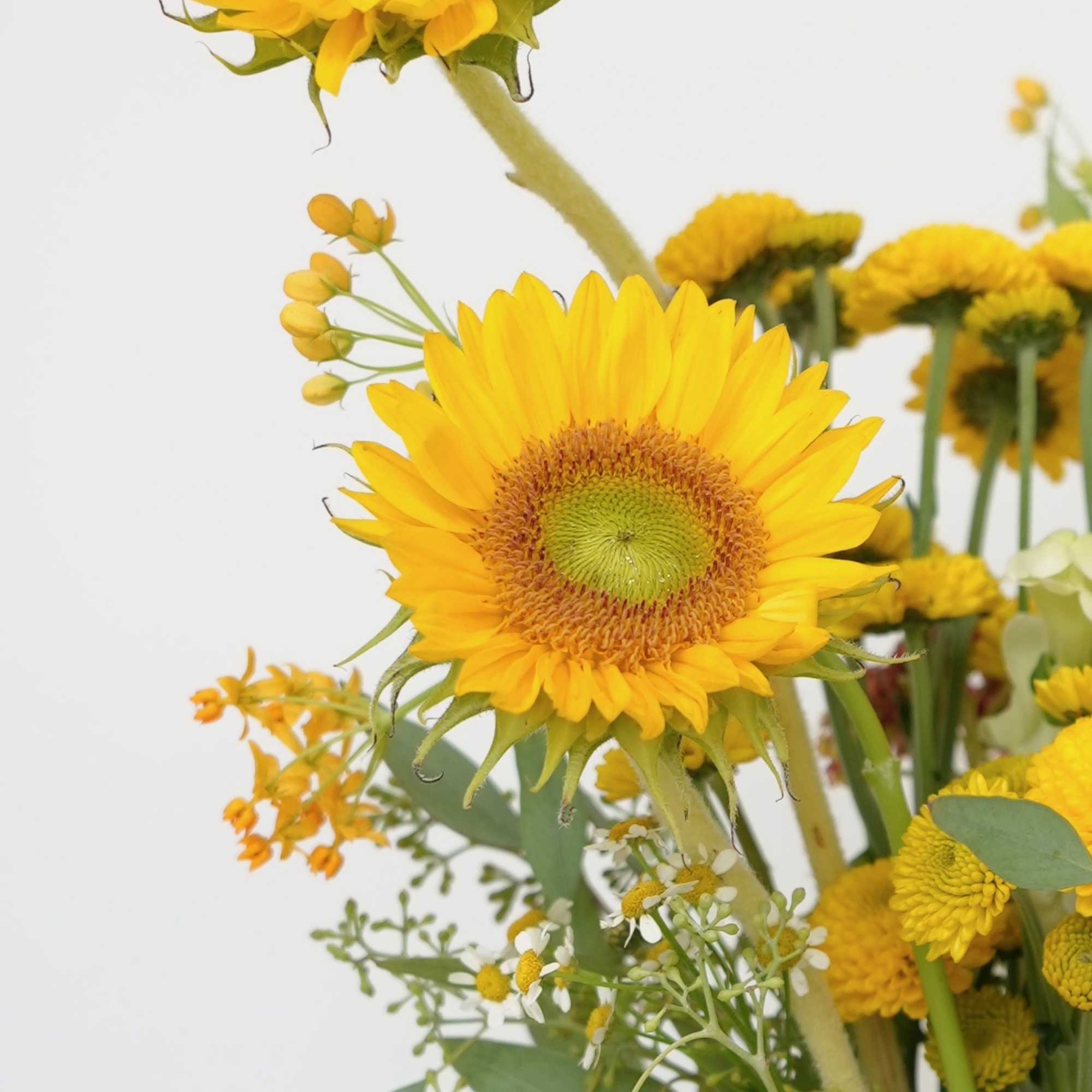 Yellow sunflower bouquet in a white vase