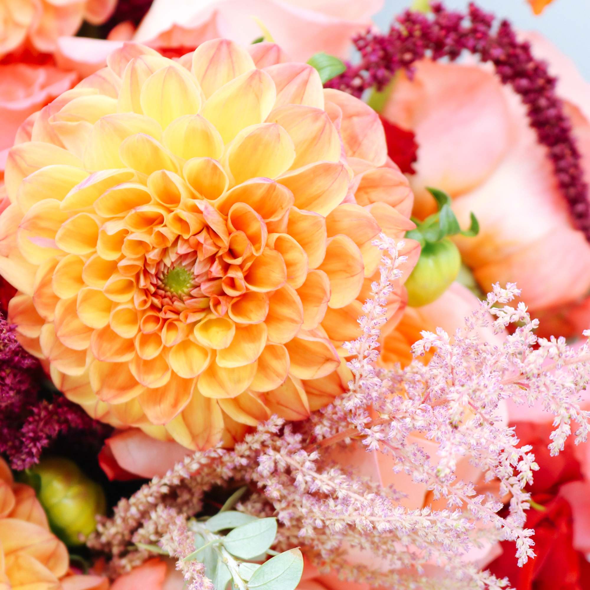 Close-up bouquet with peach and yellow dahlia blooms and pink filler flowers