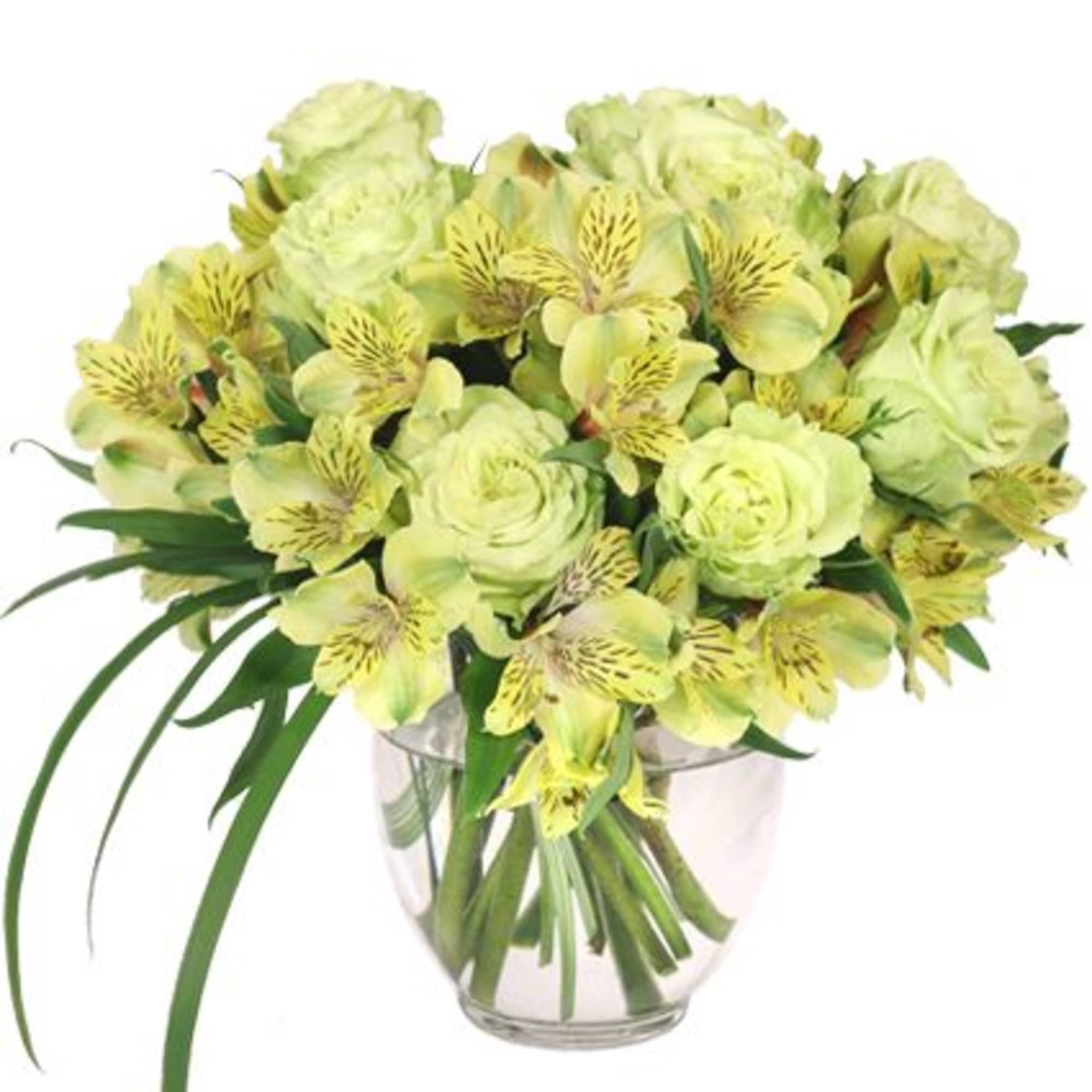 Surprise the ones you love with this stunning arrangement! Featuring gorgeous green