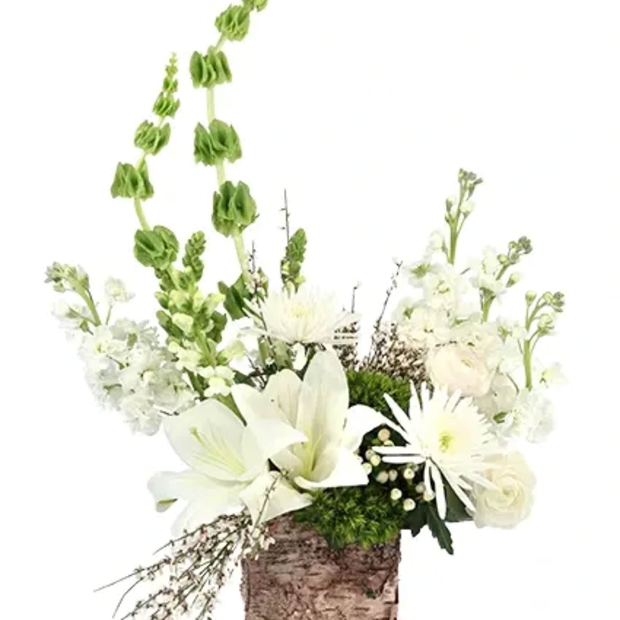 Become entranced with the beauty of this arrangement! With striking white lilies