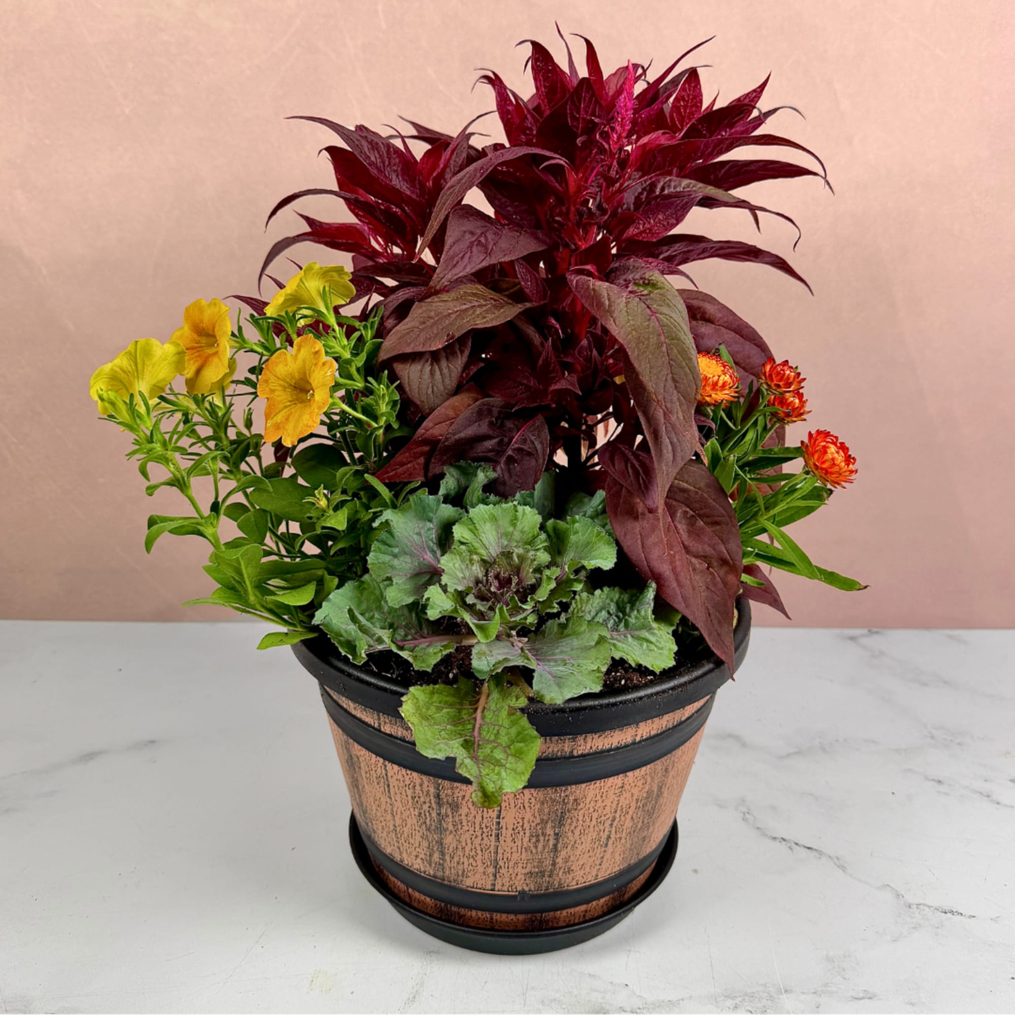 Mixed potted arrangement with burgundy foliage and yellow-orange flowers in a decorative pot