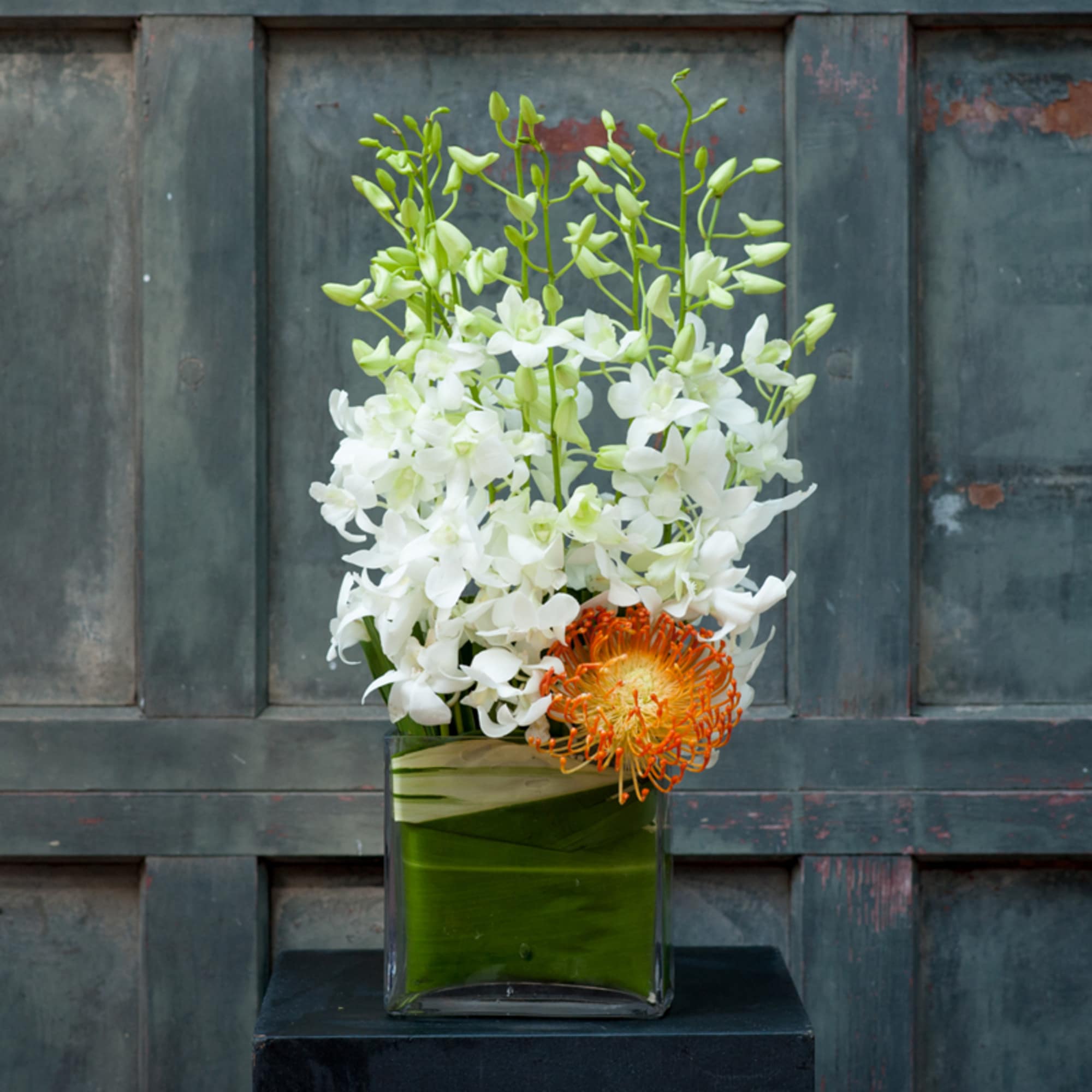 White orchids and an orange pincushion flower in a square glass vase