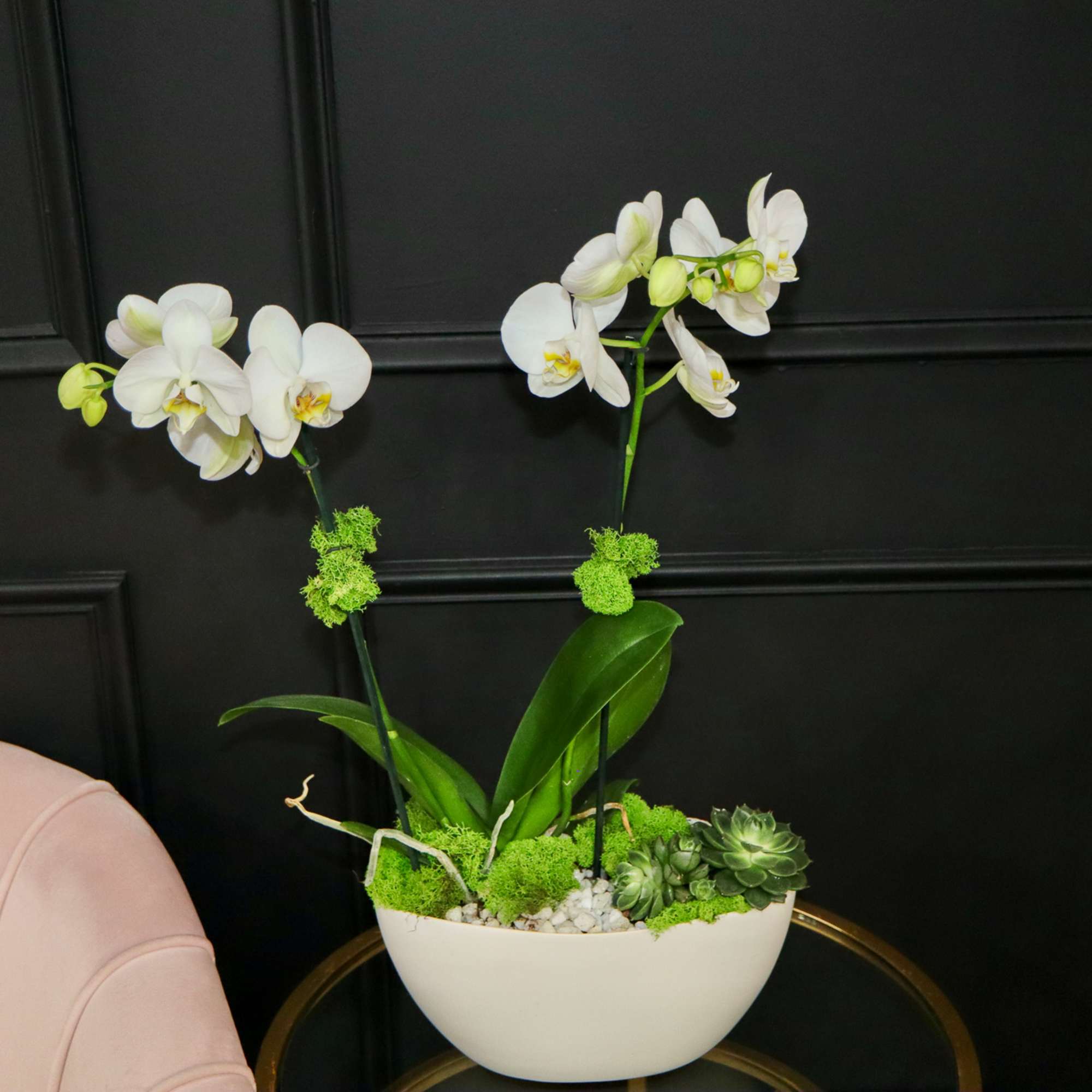 White orchid arrangement in a white bowl planter with succulents