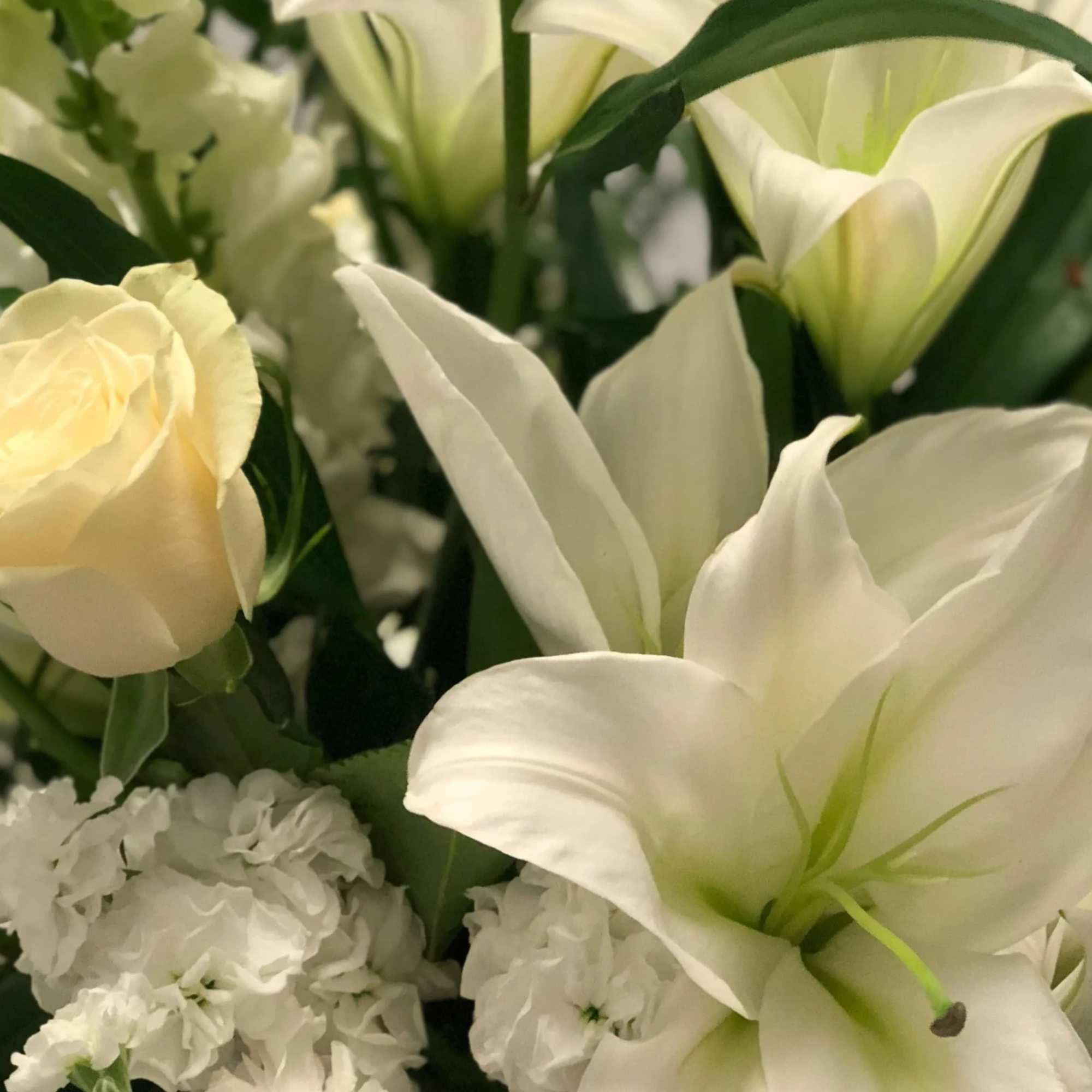 White lilies and cream roses in a close-up bouquet