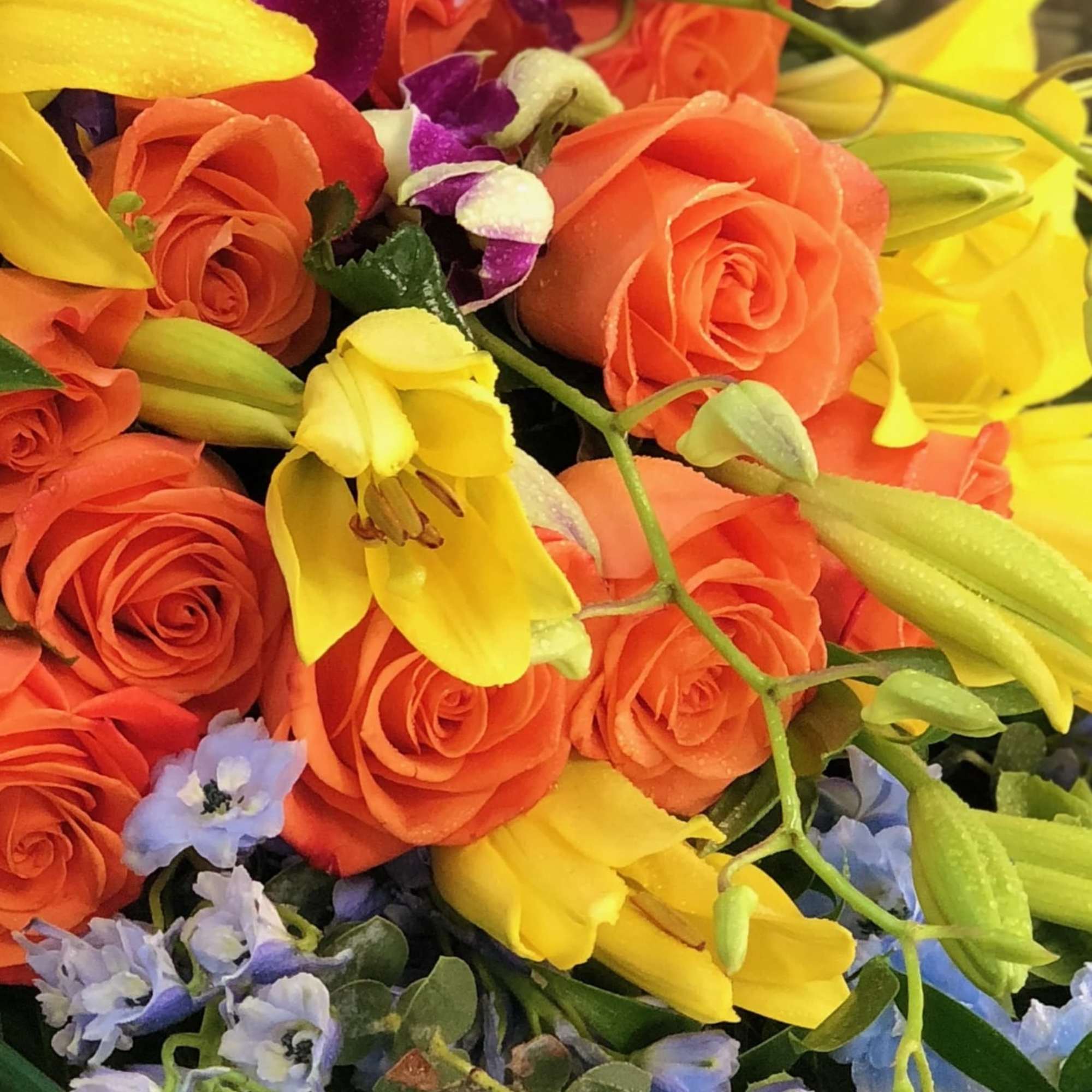 Bright mixed bouquet with orange roses, yellow lilies, and purple orchids