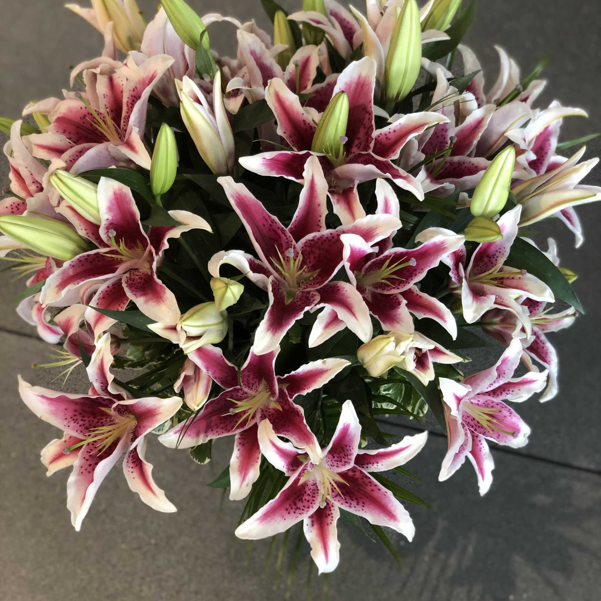 Bouquet of pink-and-white lilies with unopened buds, photo 8 of 16