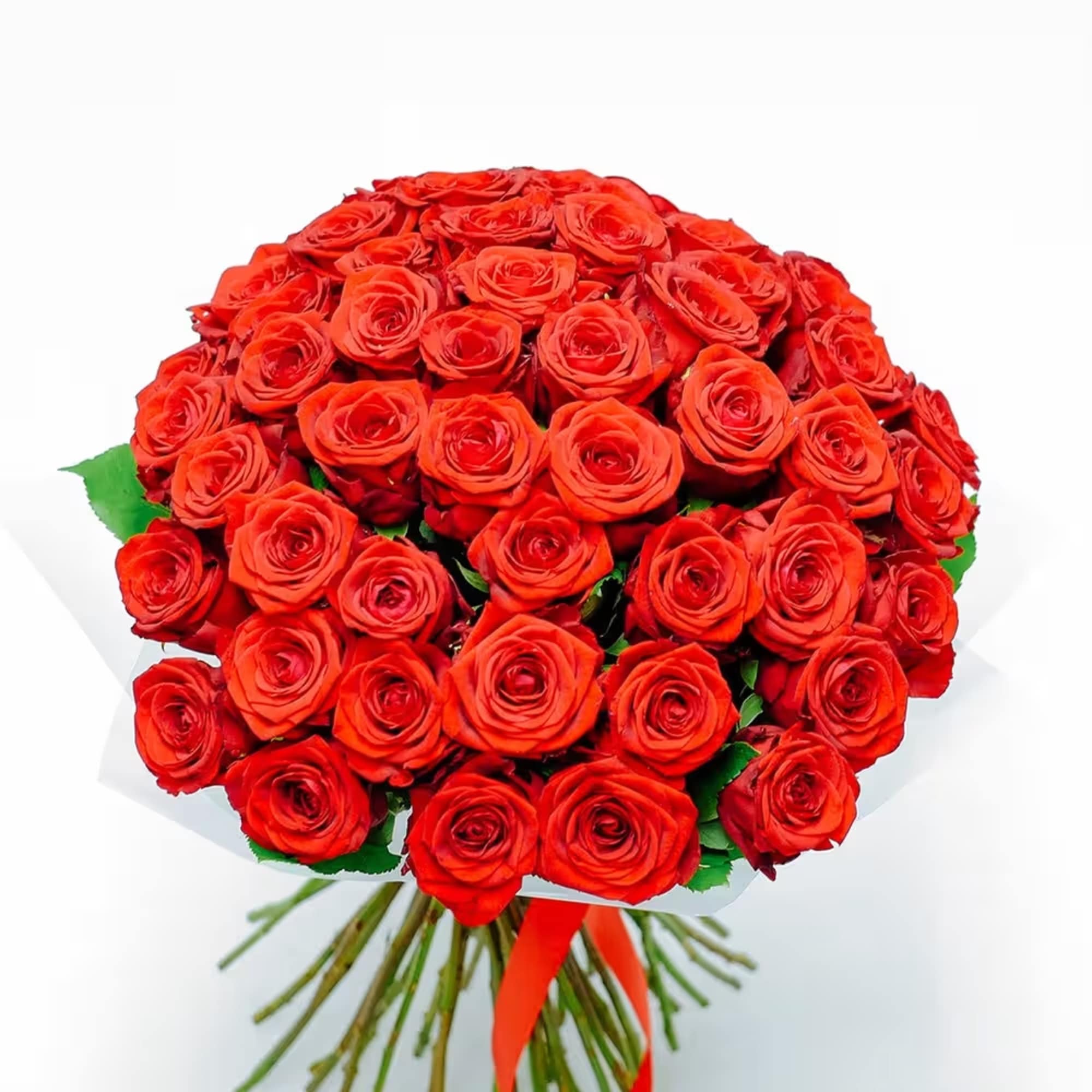 Large bouquet of red roses wrapped in white paper with a red ribbon