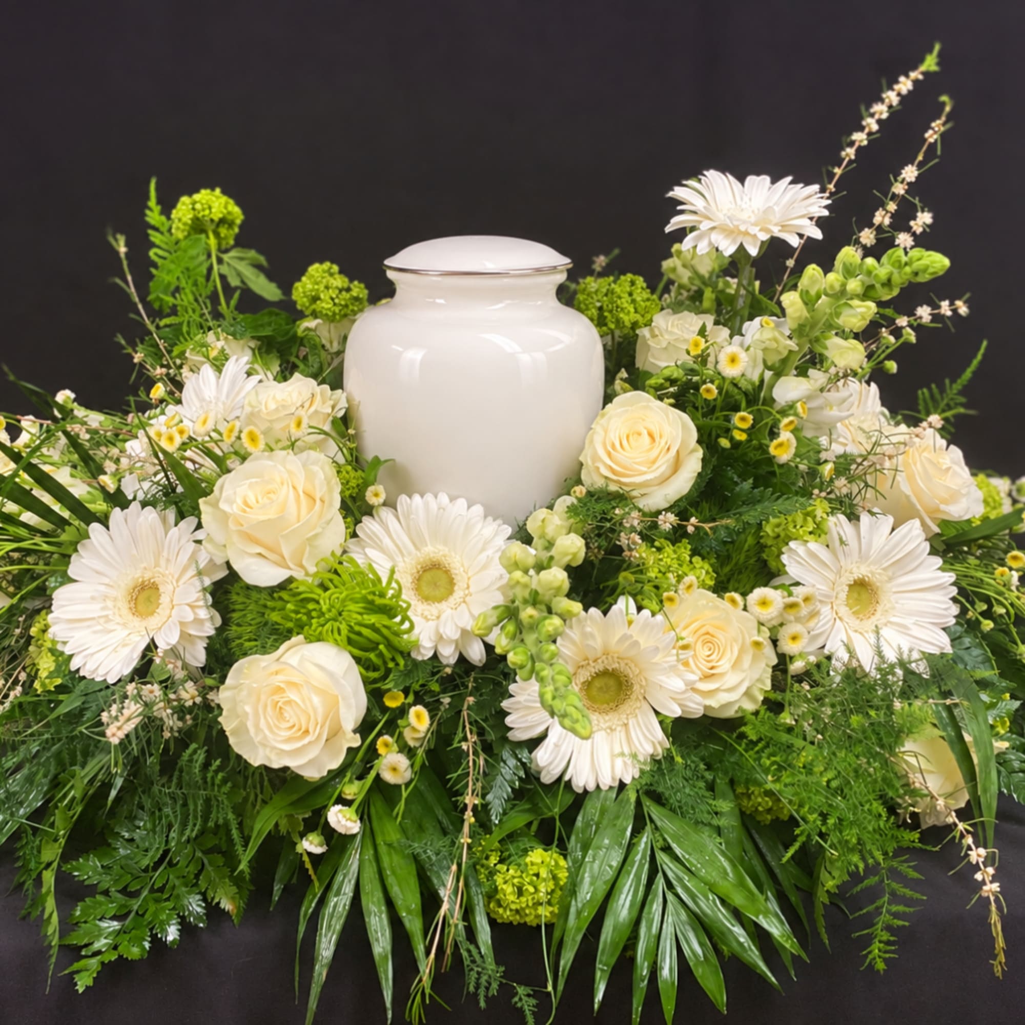 White urn surrounded by cream roses and white daisies in a green floral arrangement