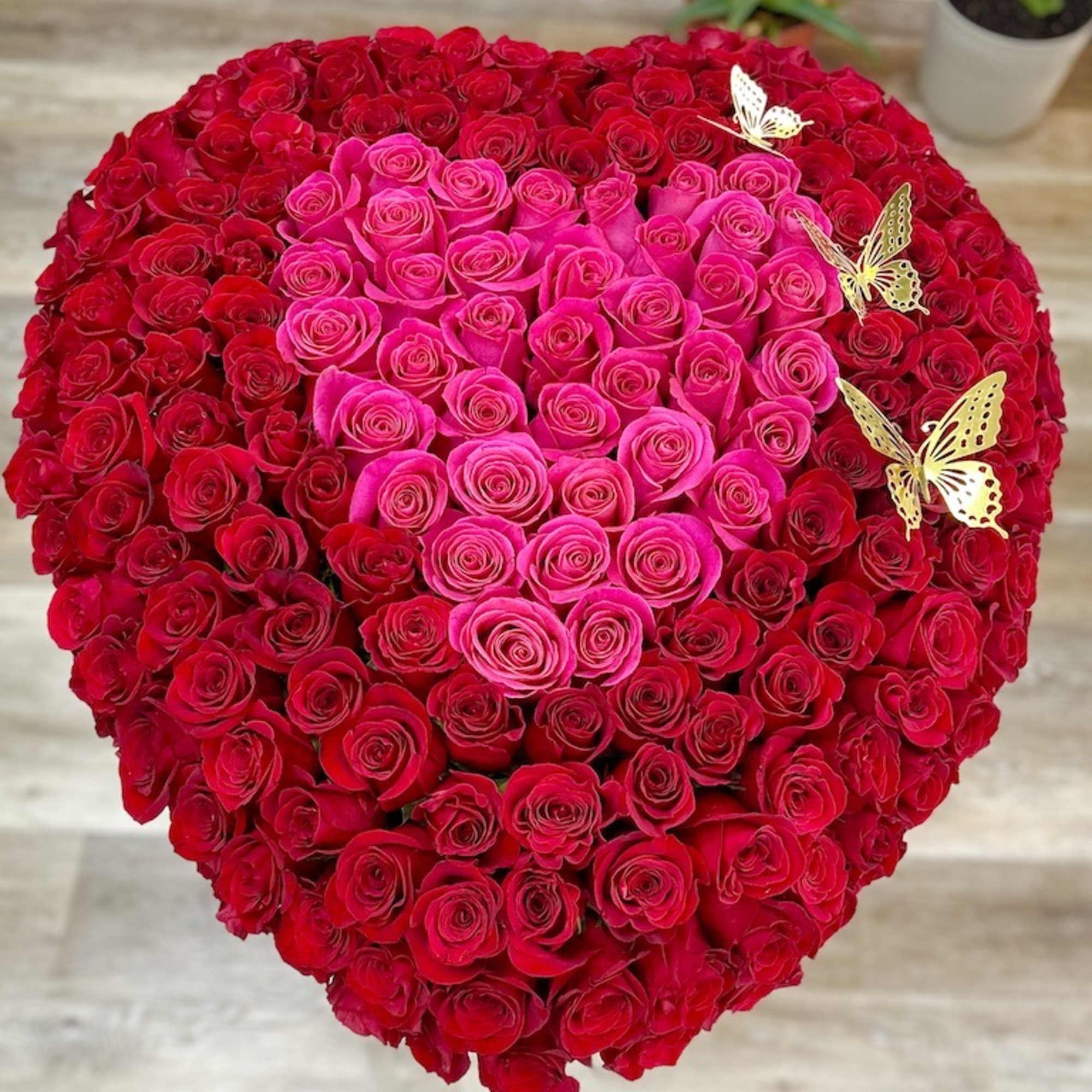 Heart-shaped arrangement of red and hot pink roses with gold butterfly accents.