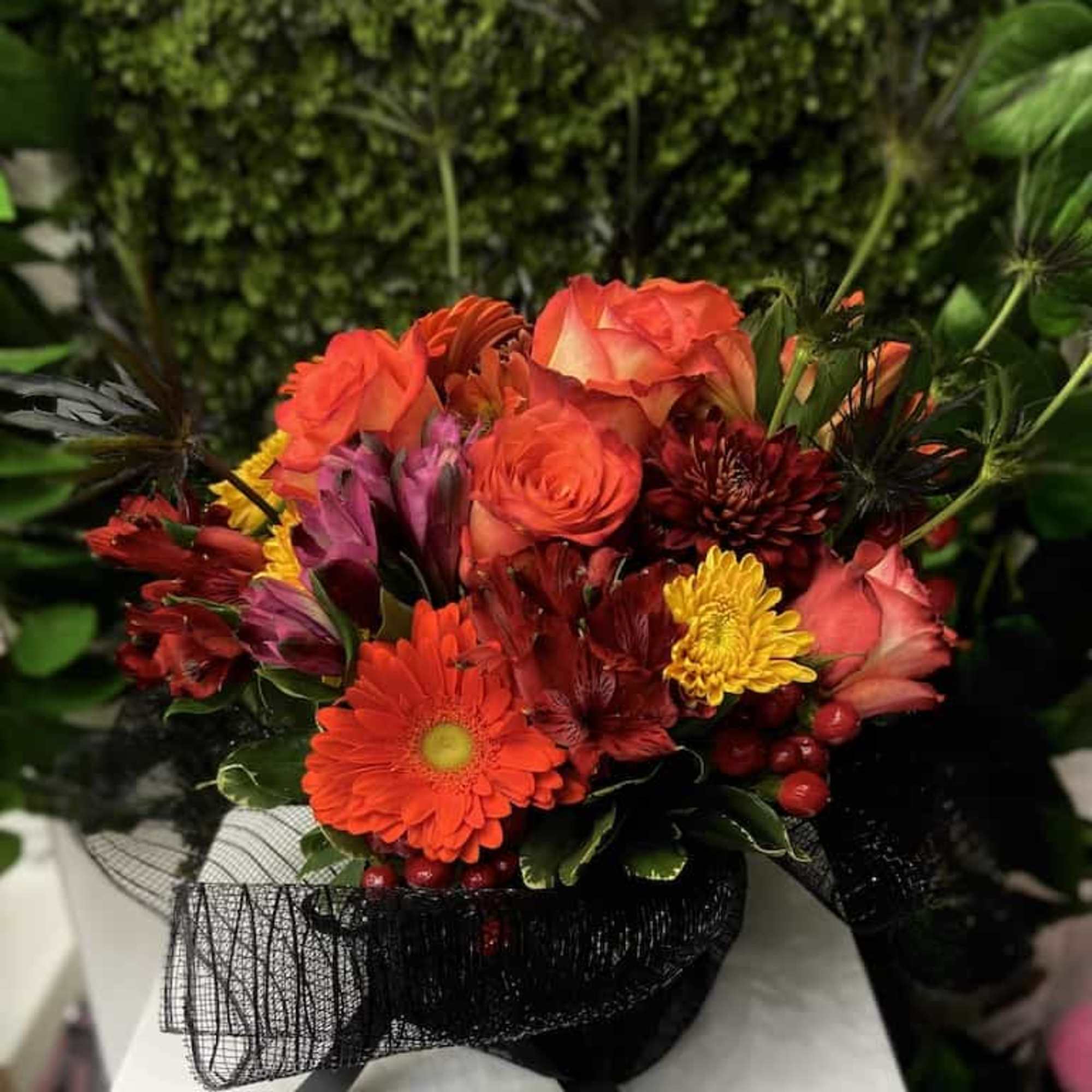 Compact arrangement of red and orange roses, gerbera daisy, and mixed blooms with black mesh wrap