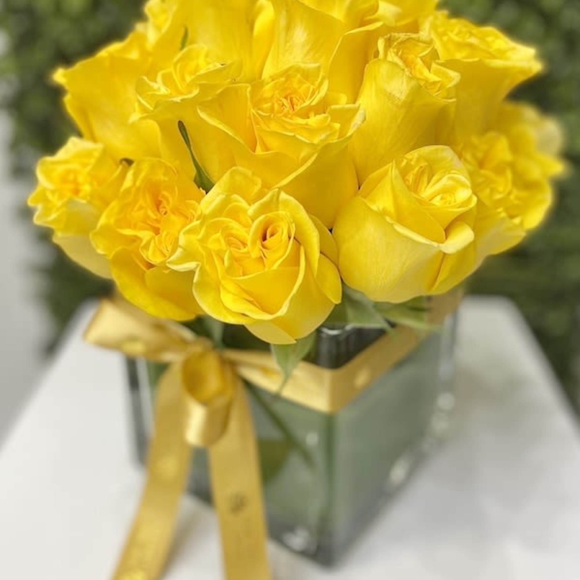 Compact arrangement of yellow roses in a square glass vase with a yellow ribbon bow