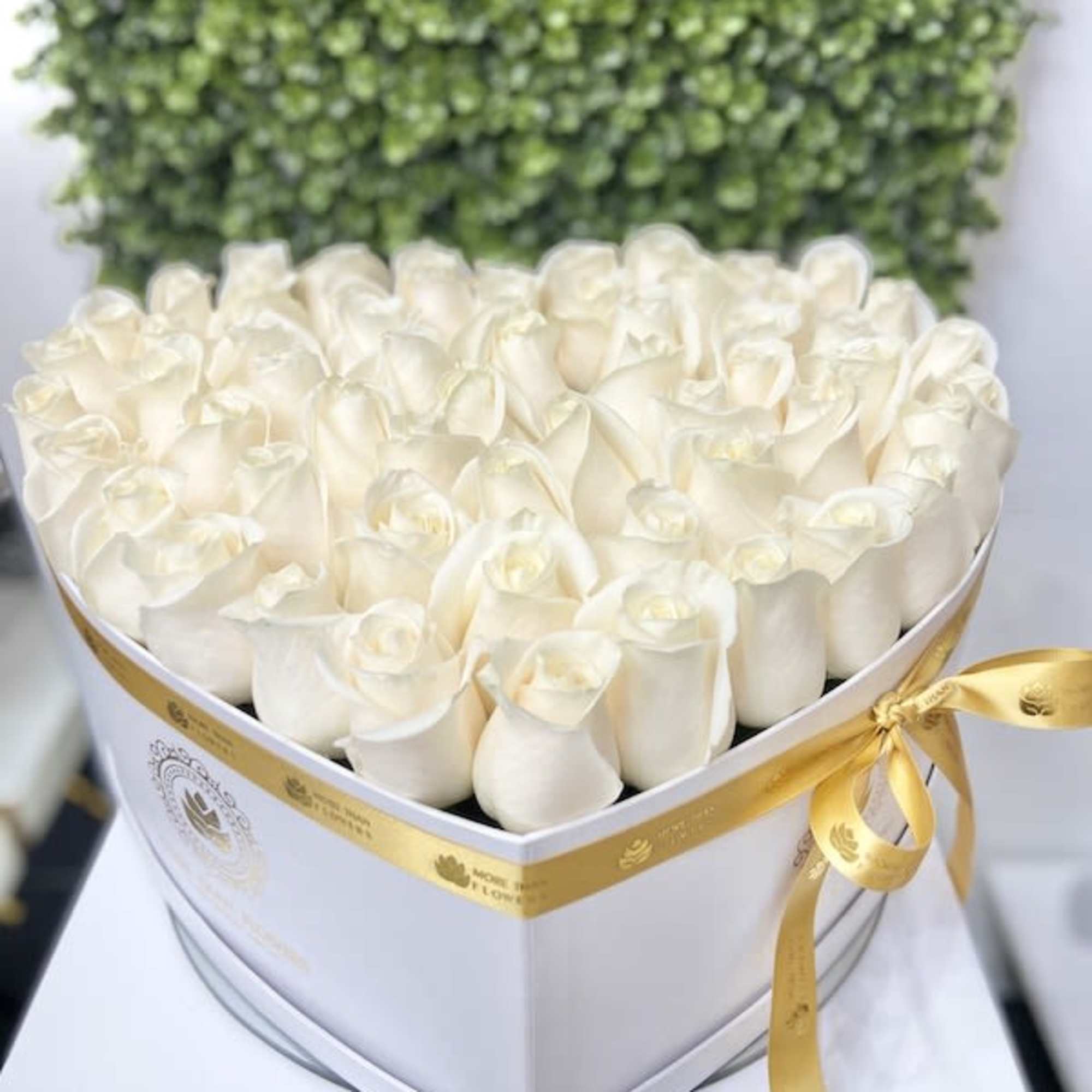 Heart-shaped white box filled with cream roses and tied with a gold ribbon